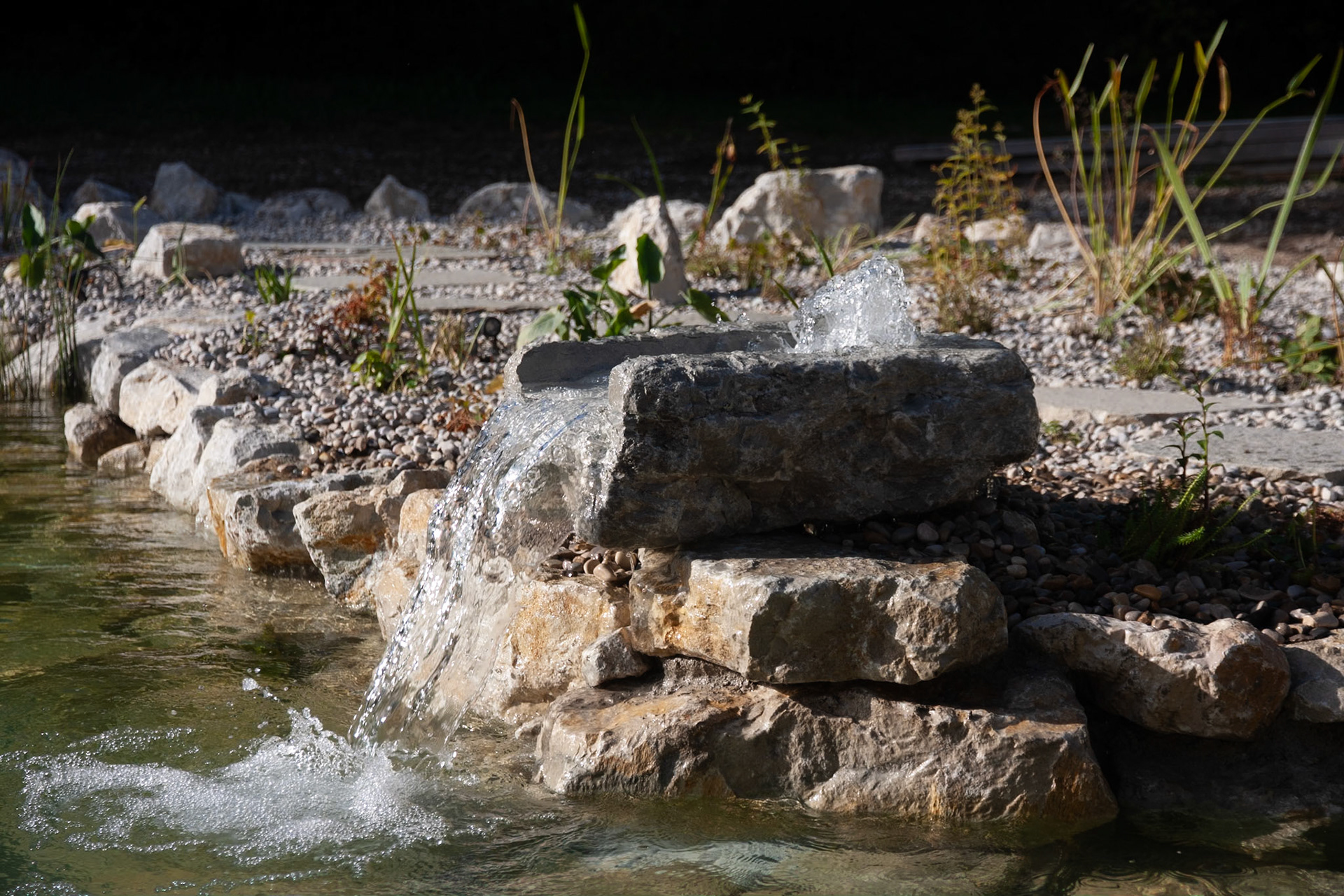 Piscine naturelle 50m²