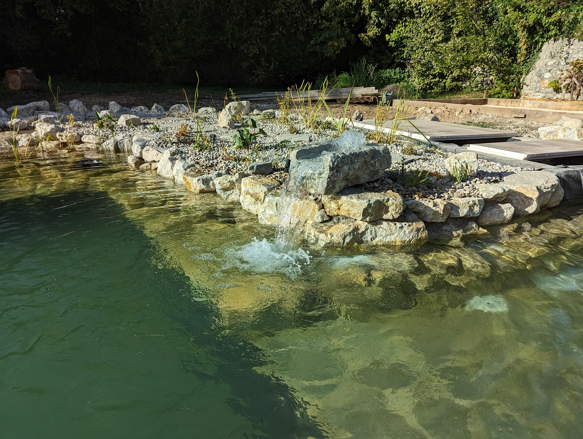 Piscine naturelle 50m²