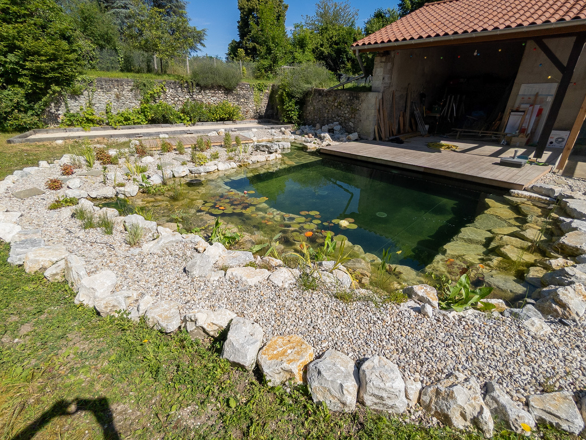 Piscine naturelle 50m²