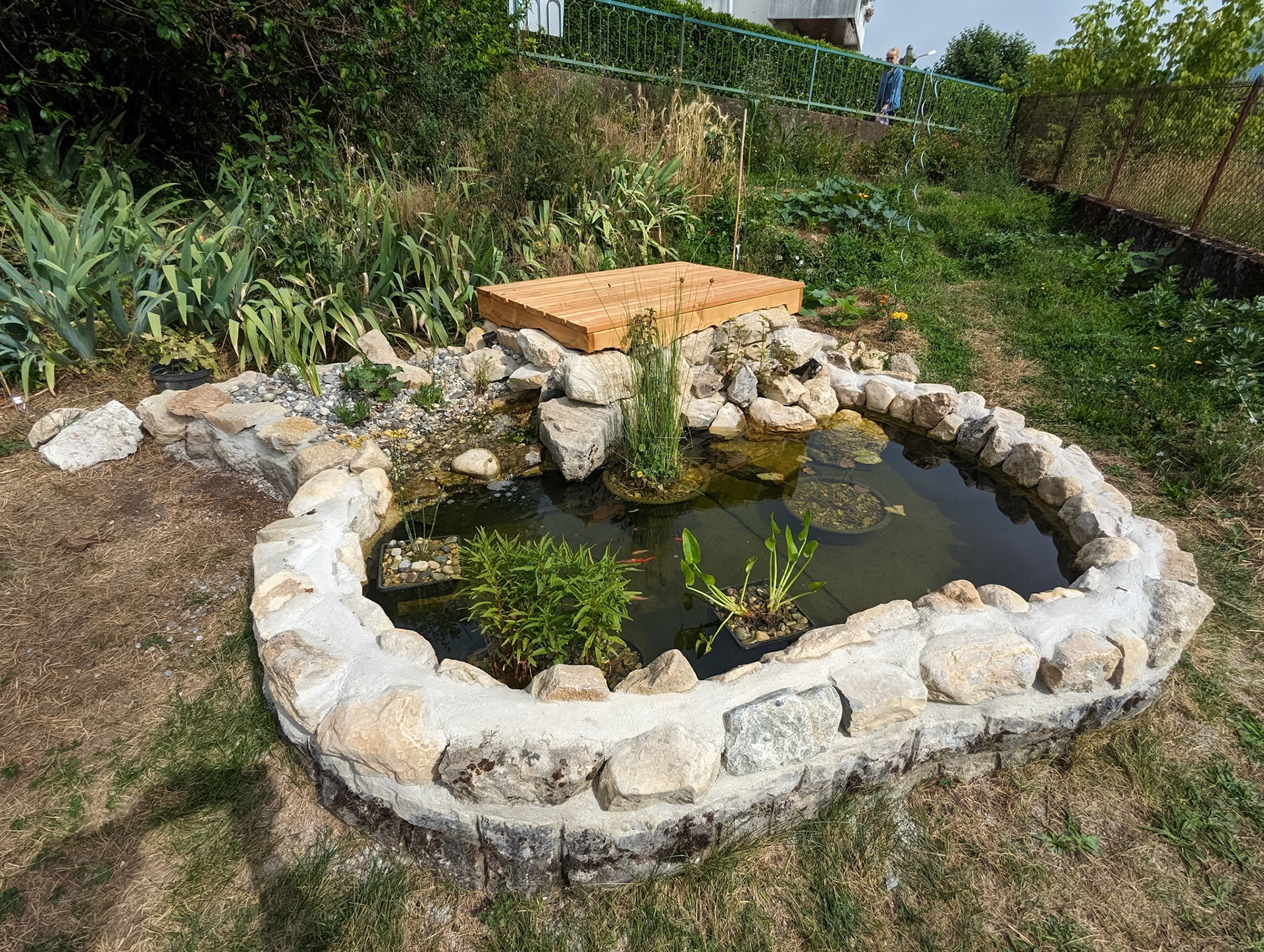 Bassin à poissons rouges 6m²