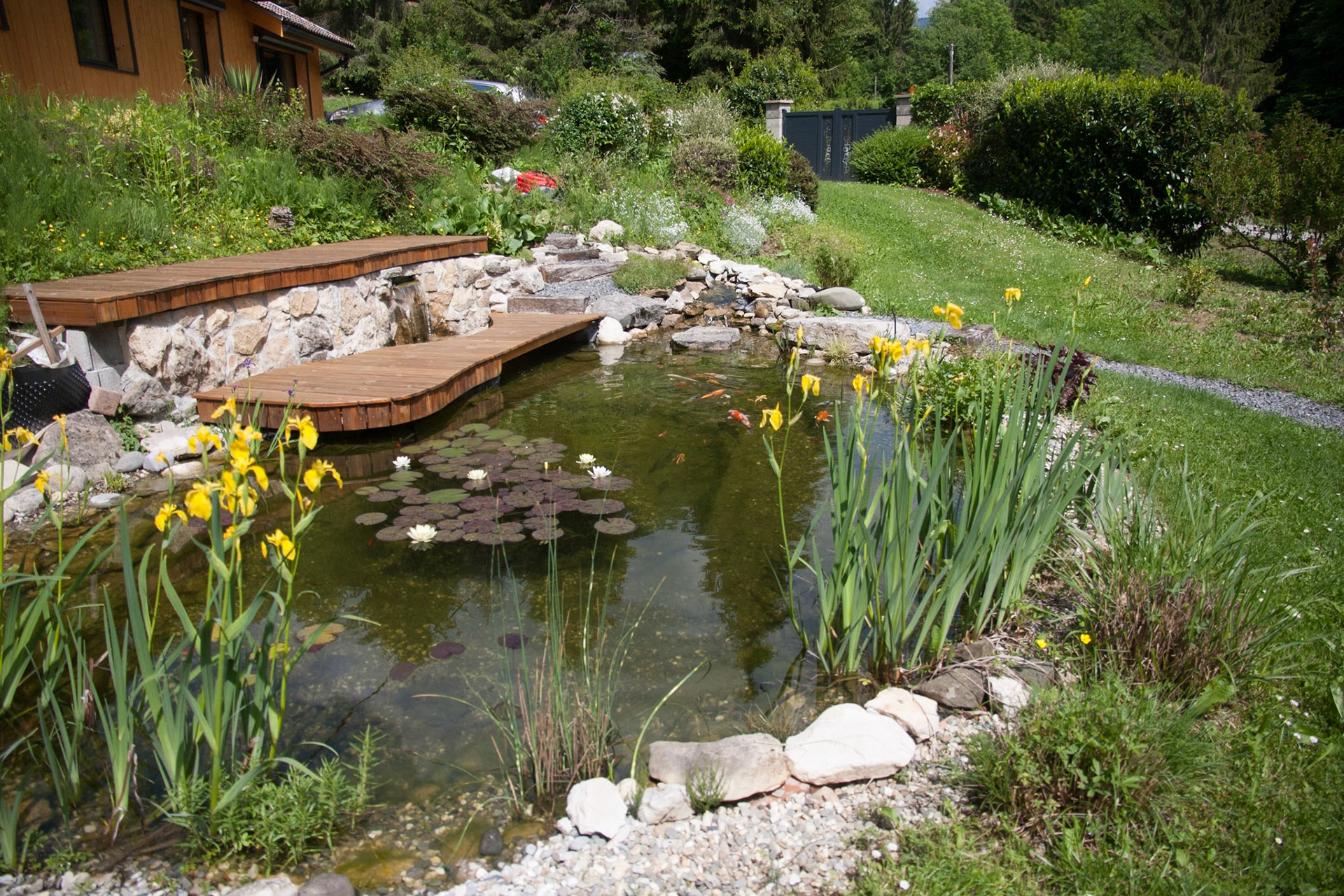 Bassin à koï 20m²