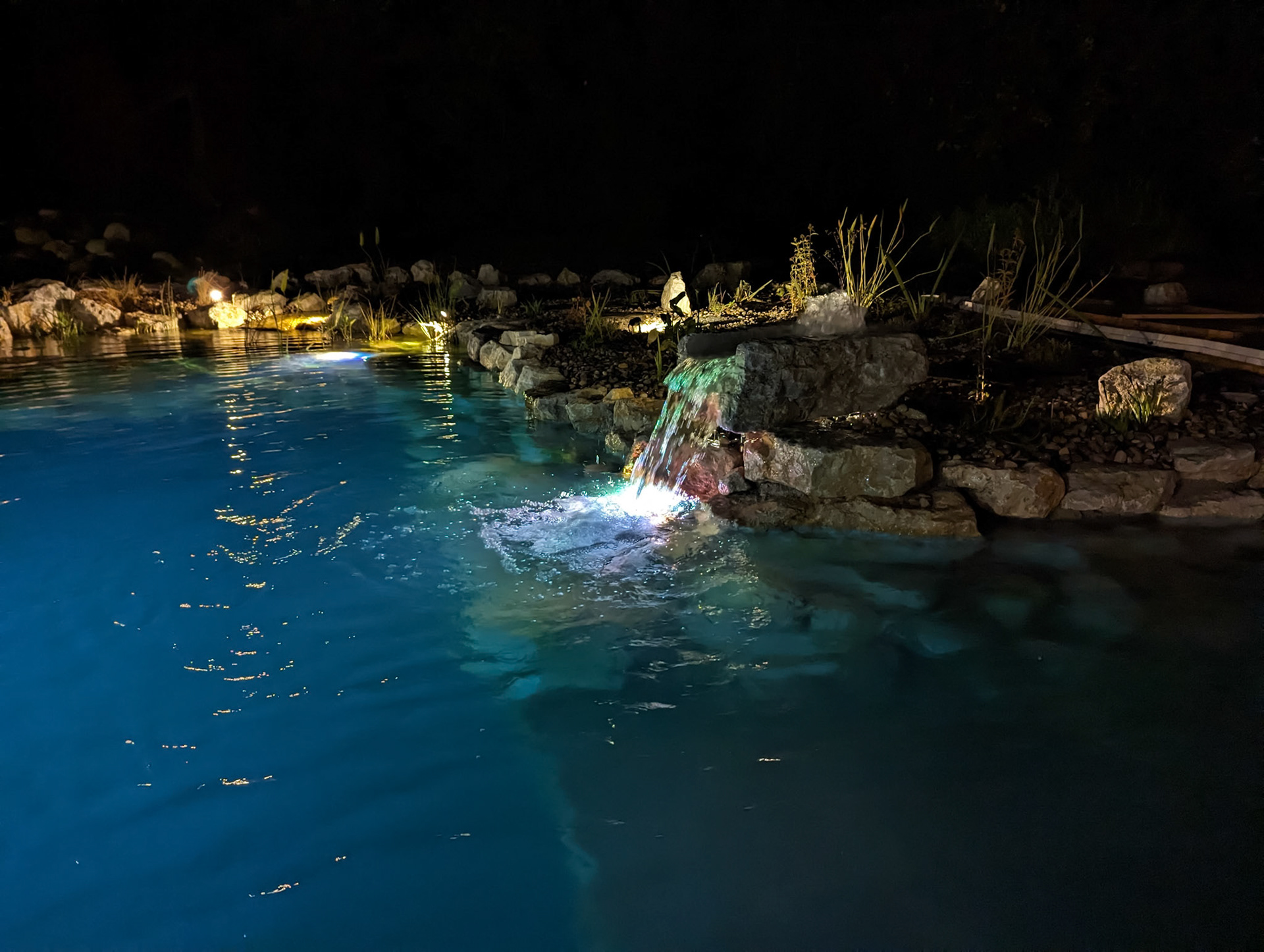 Piscine naturelle 50m²