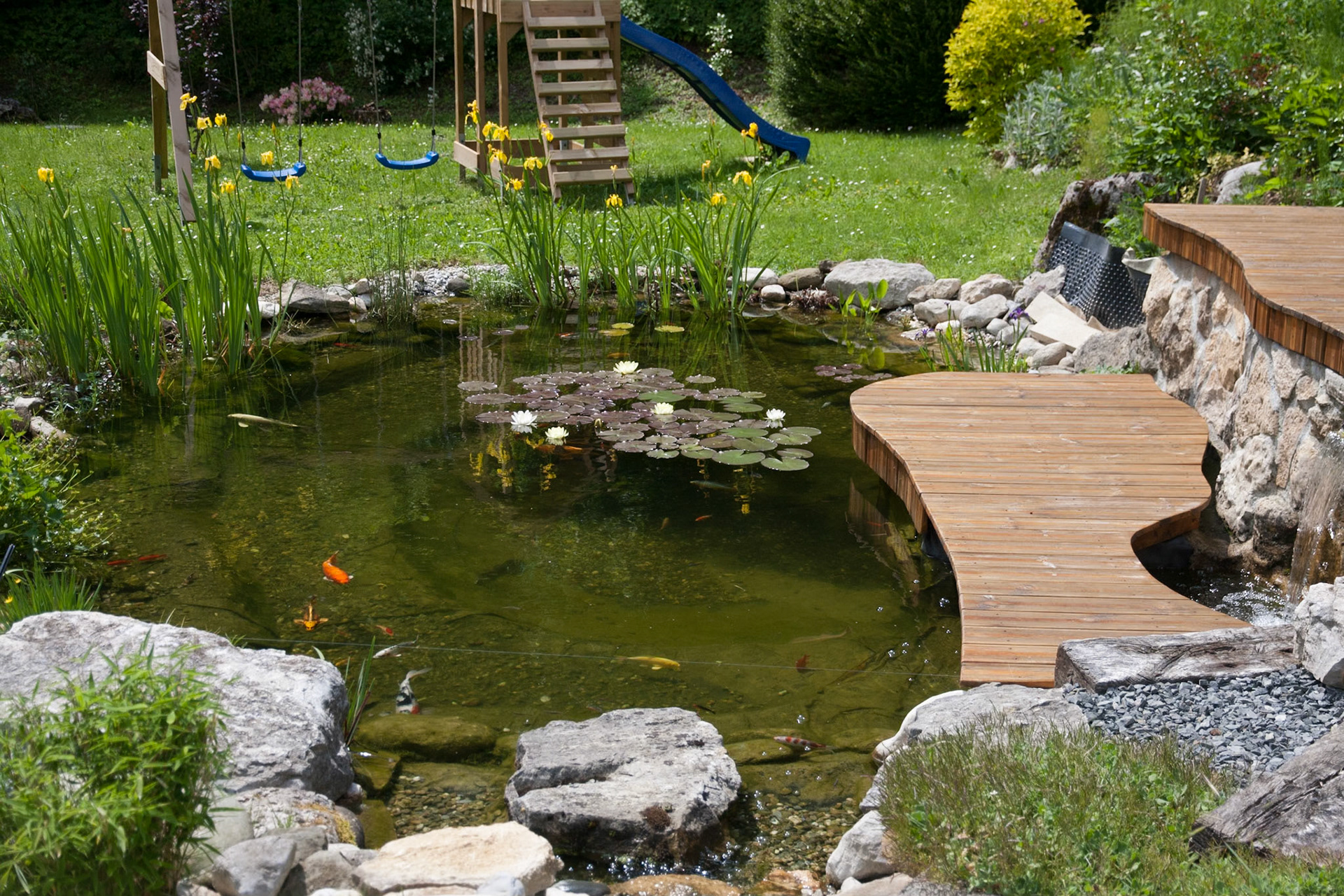 Bassin à koï 20m²