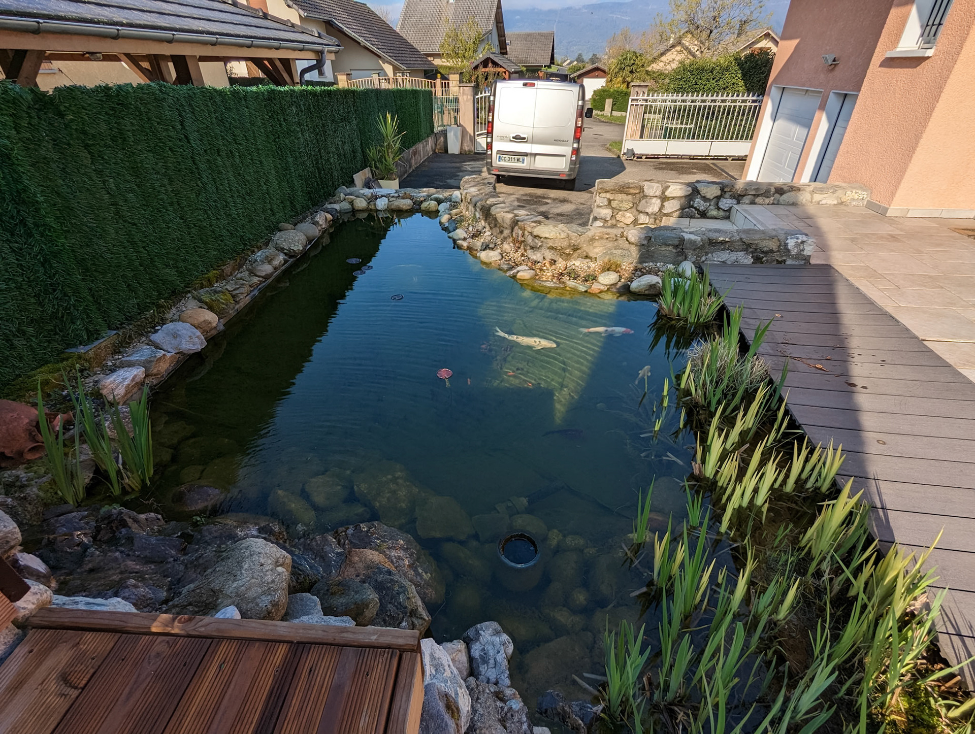 Bassin à koï 15m²