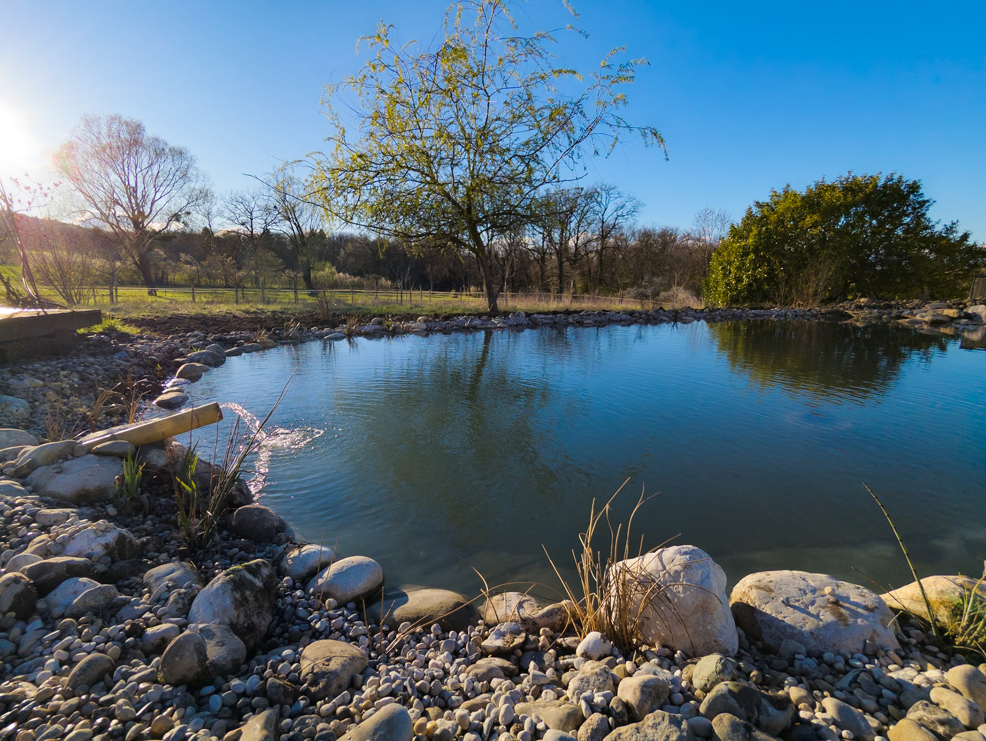 Bassin naturel 150m²