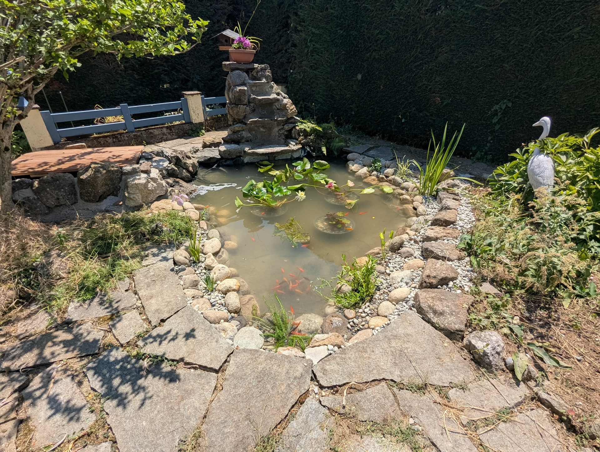 Rénovation de bassin