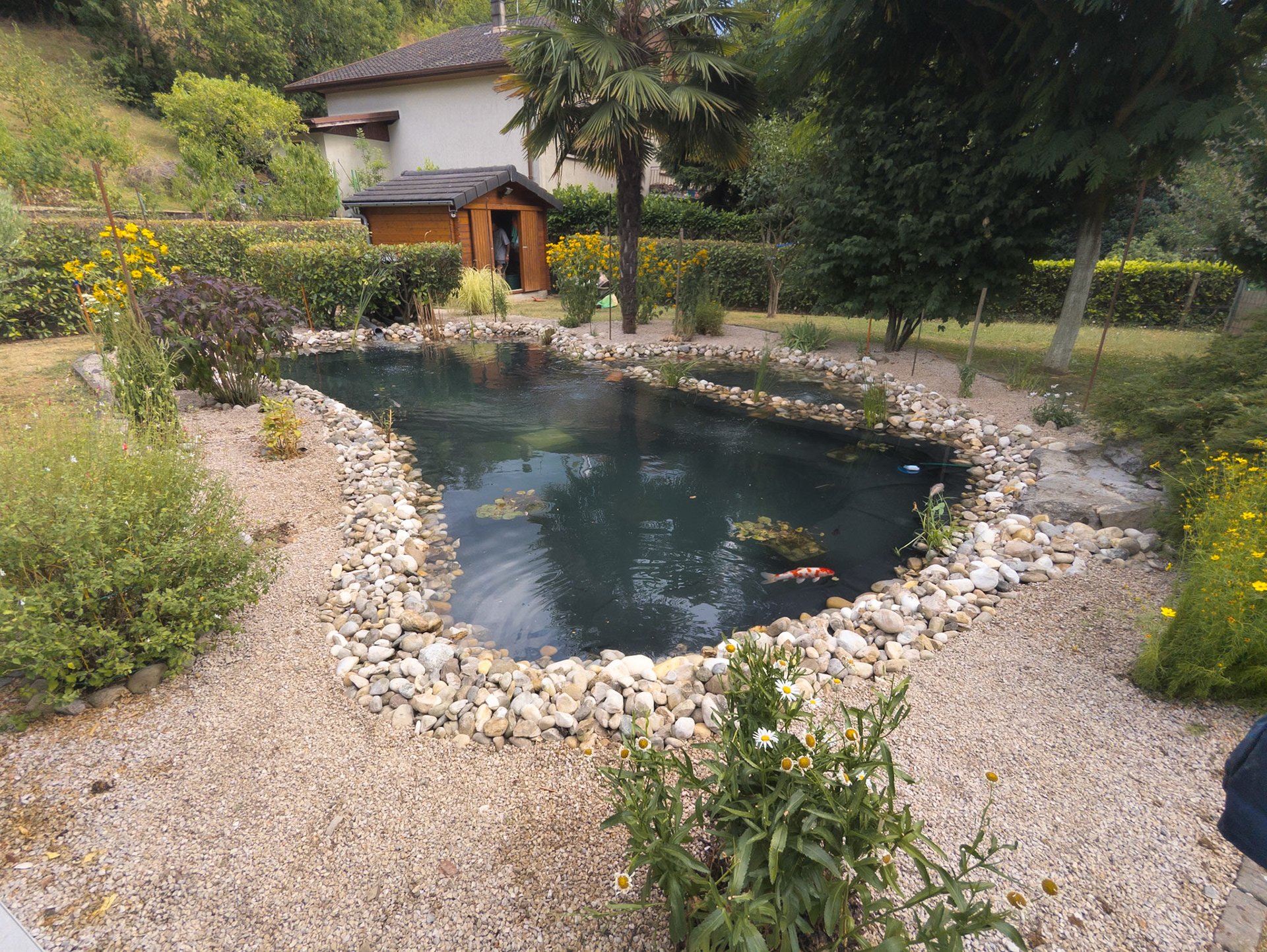 Rénovation de bassin - remplacement étanchéité