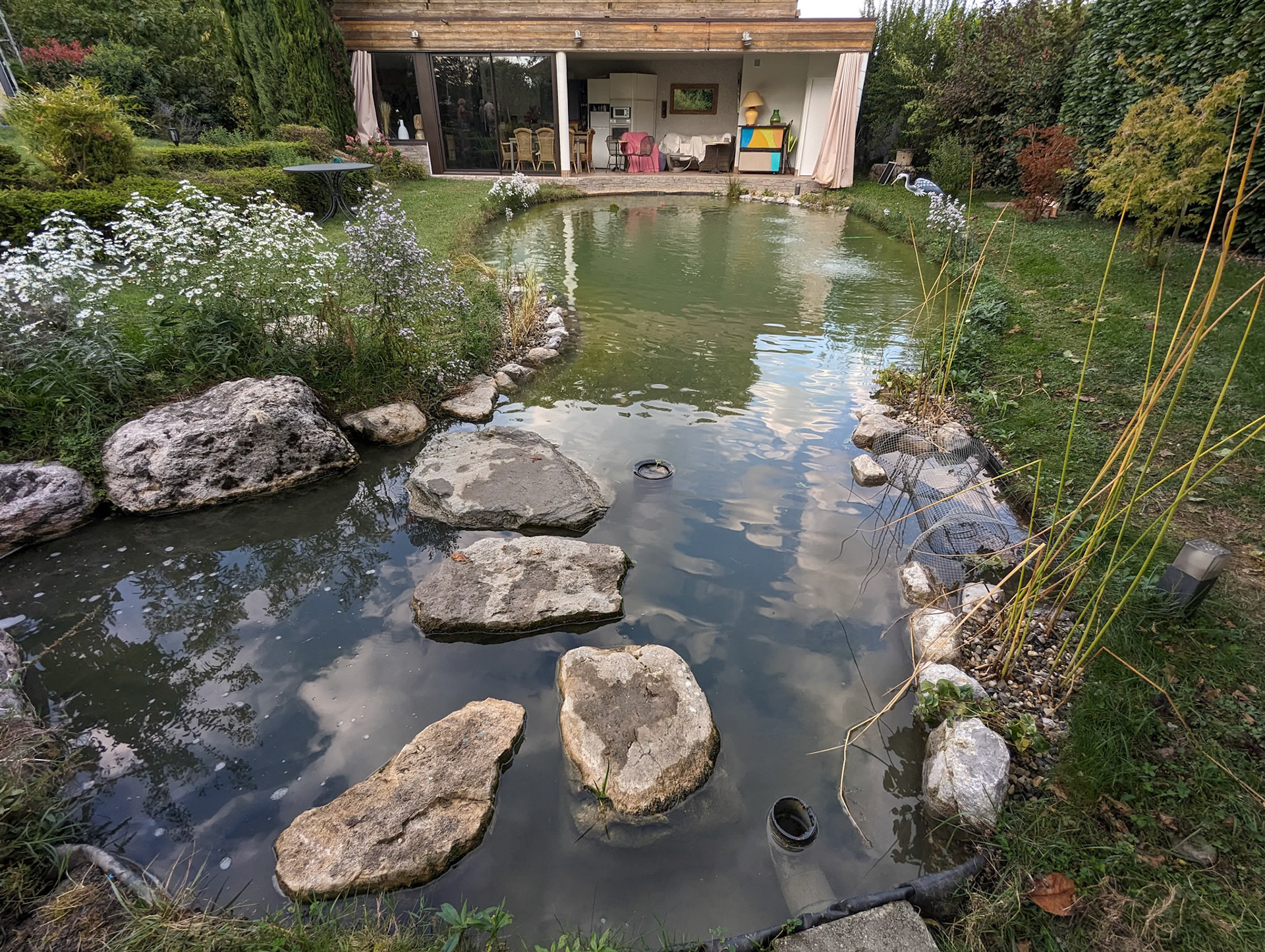 Rénovation de bassin - Skimmer et plantations