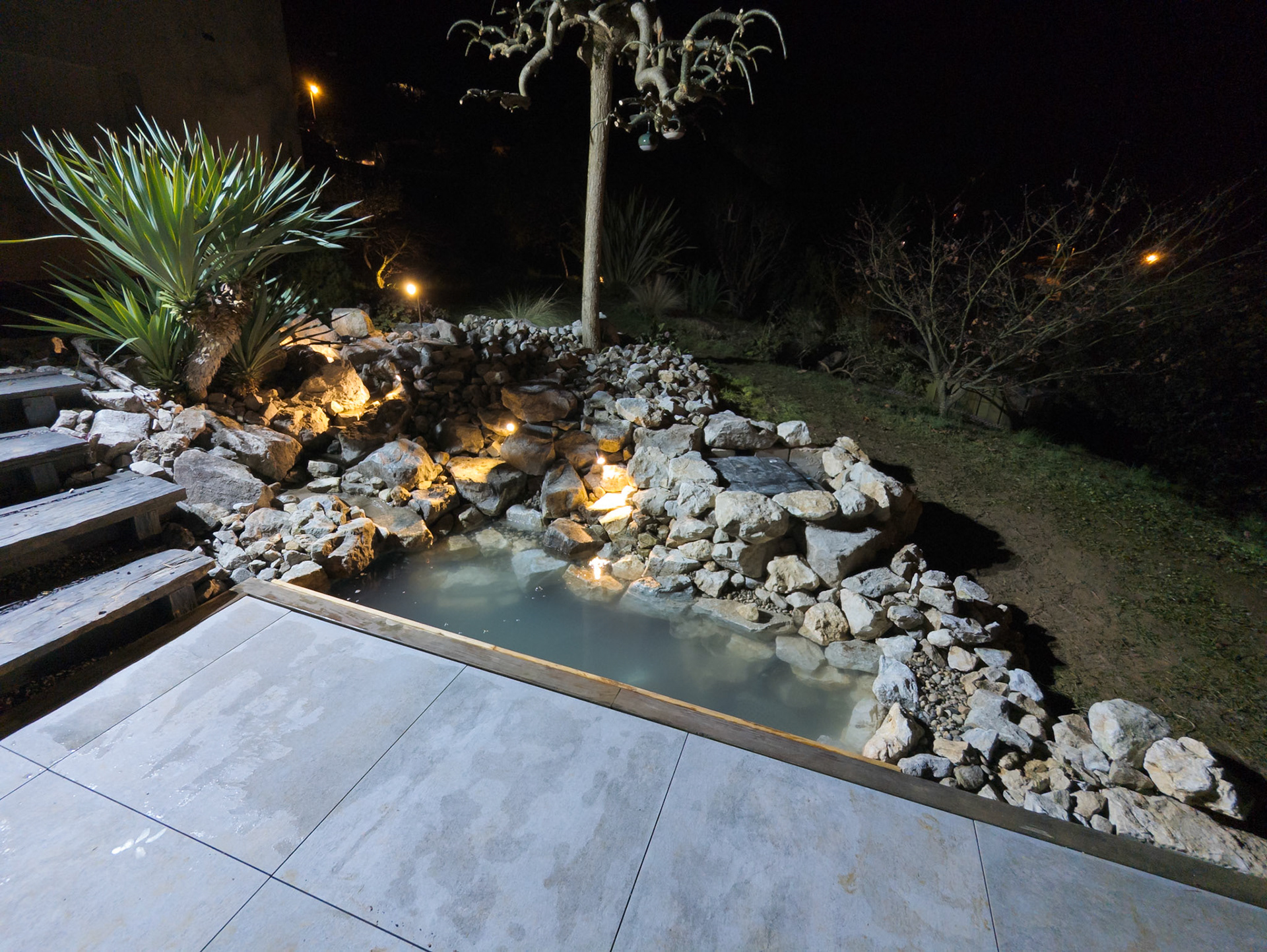 Bassin pour poissons rouges