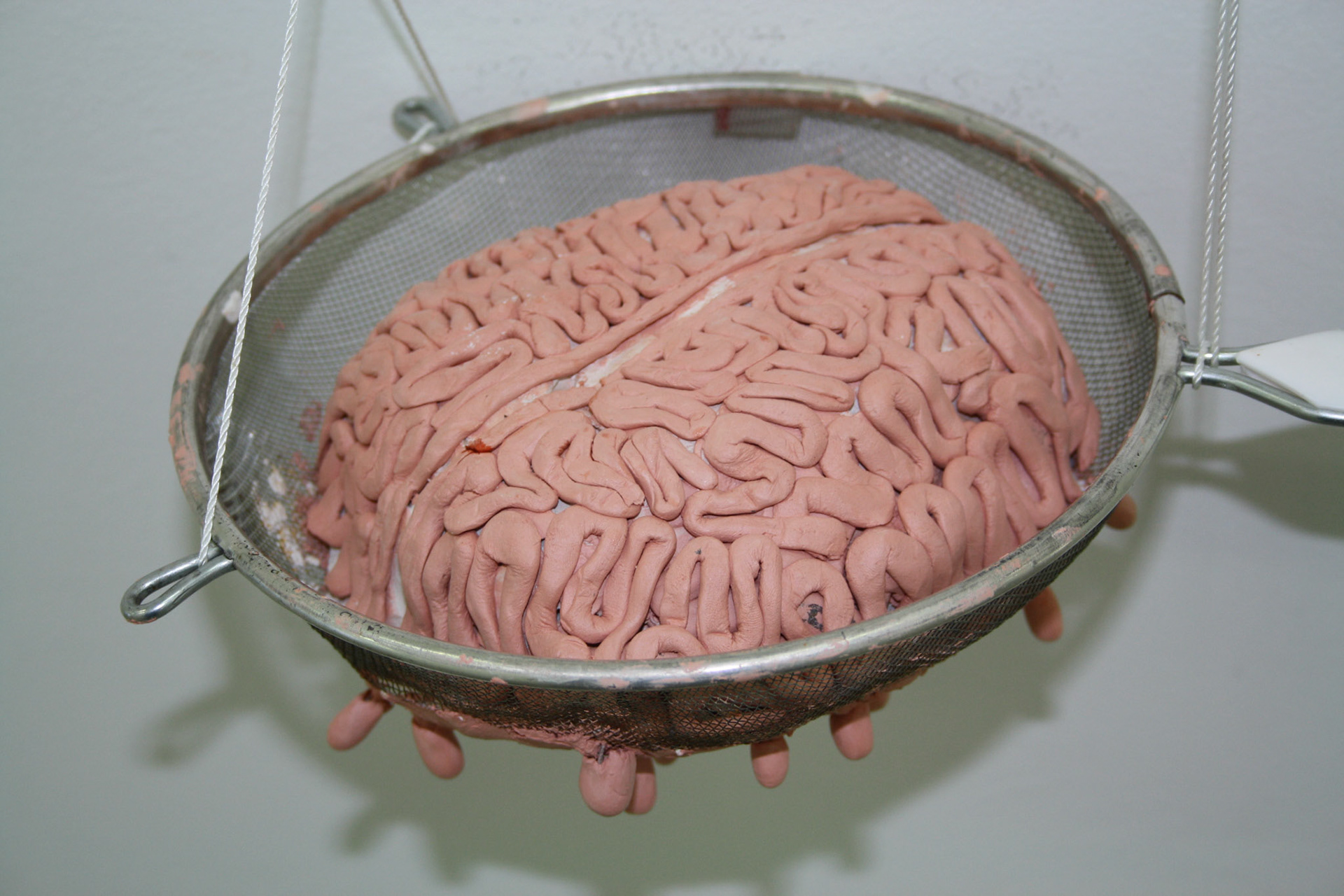 Lost Brain