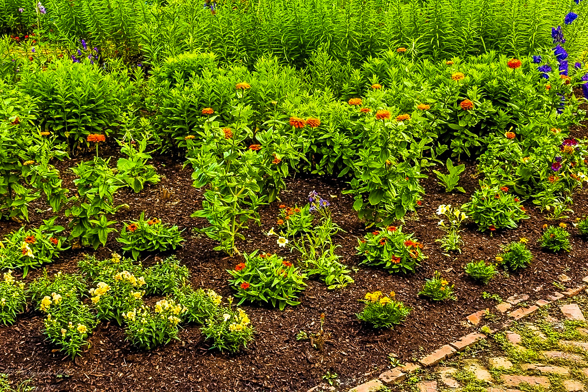 Fort Ticonderoga Kings Garden