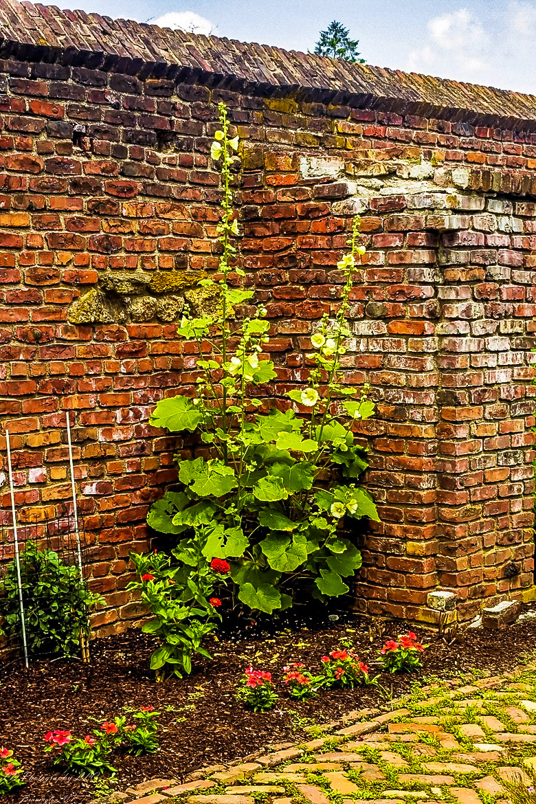 Fort Ticonderoga Kings Garden