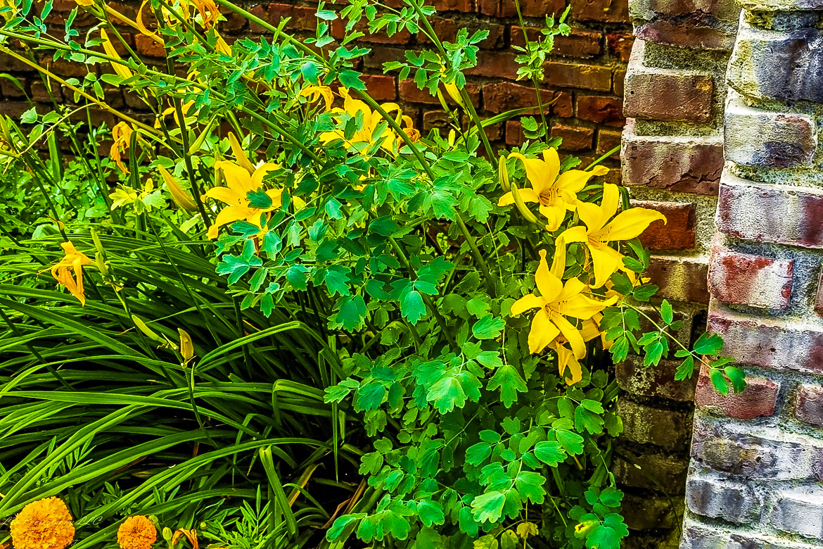 Fort Ticonderoga Kings Garden