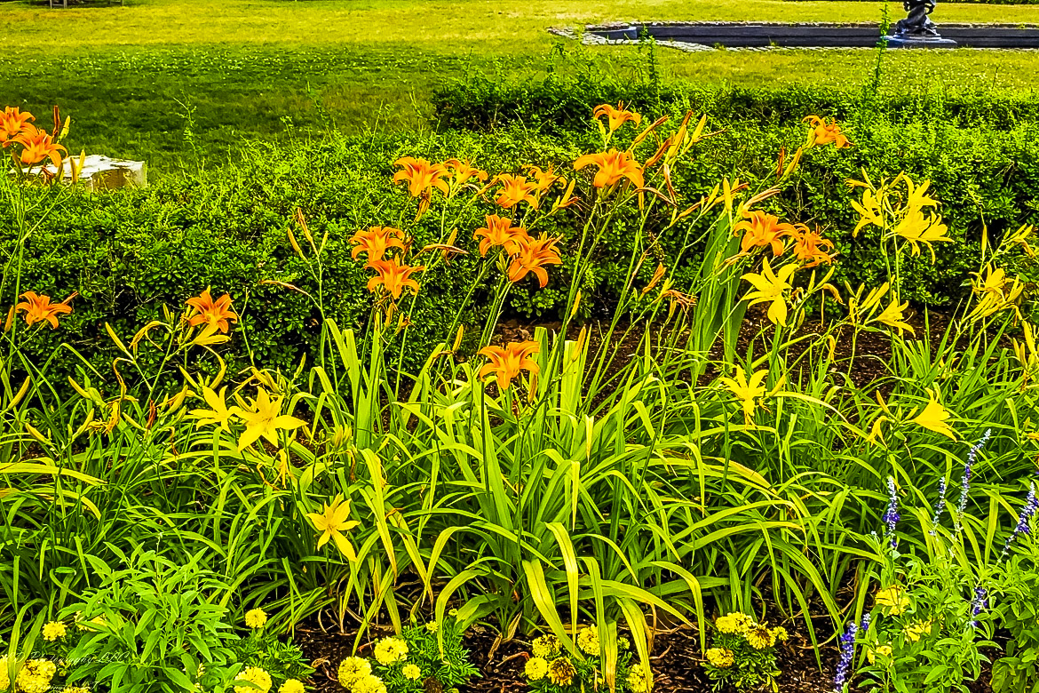 Fort Ticonderoga Kings Garden