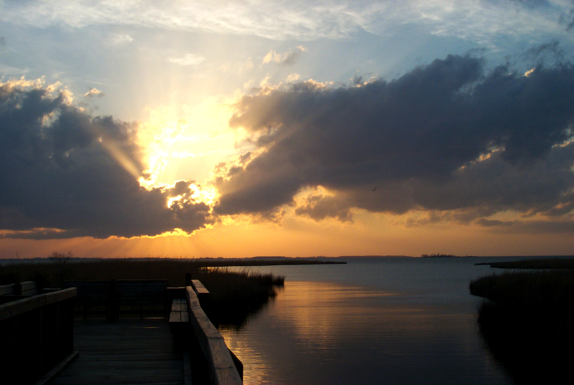 North Carolina Wetlands