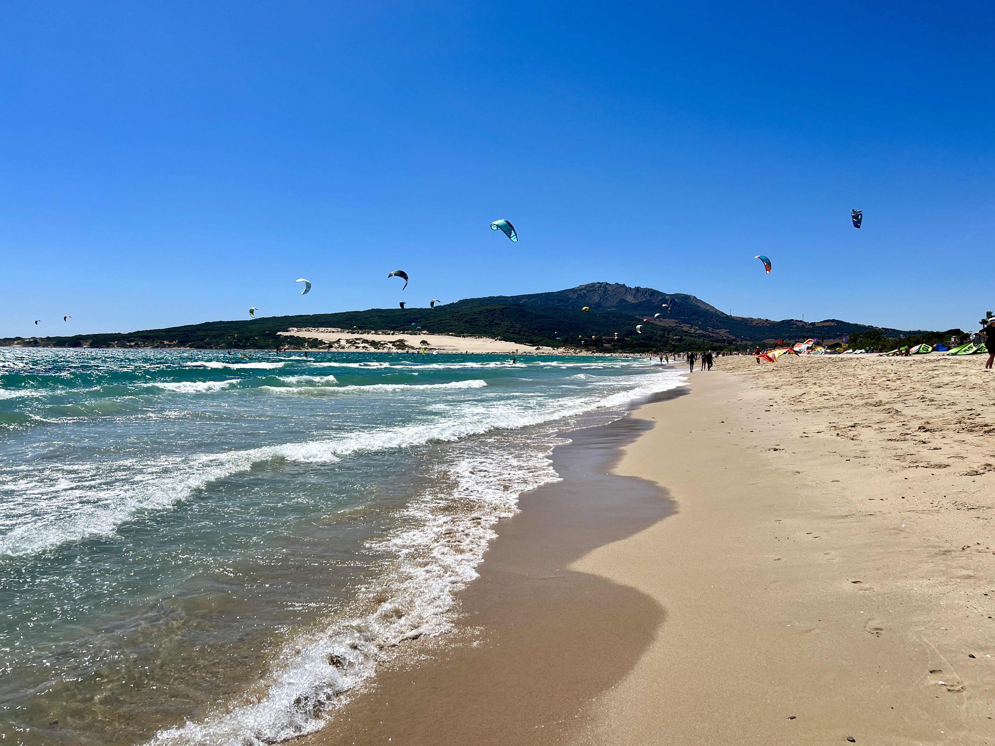 Tarifa
