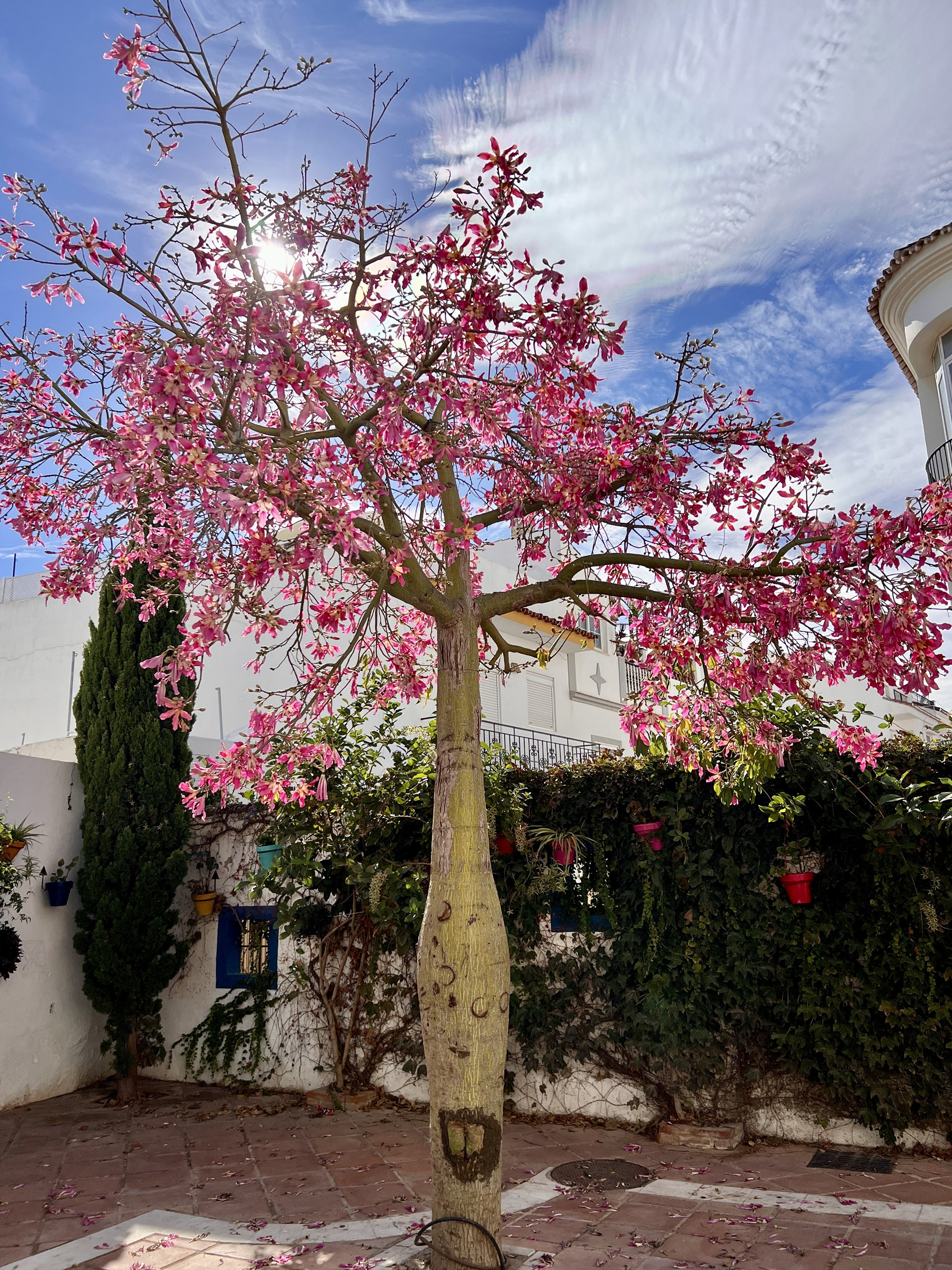 Estepona