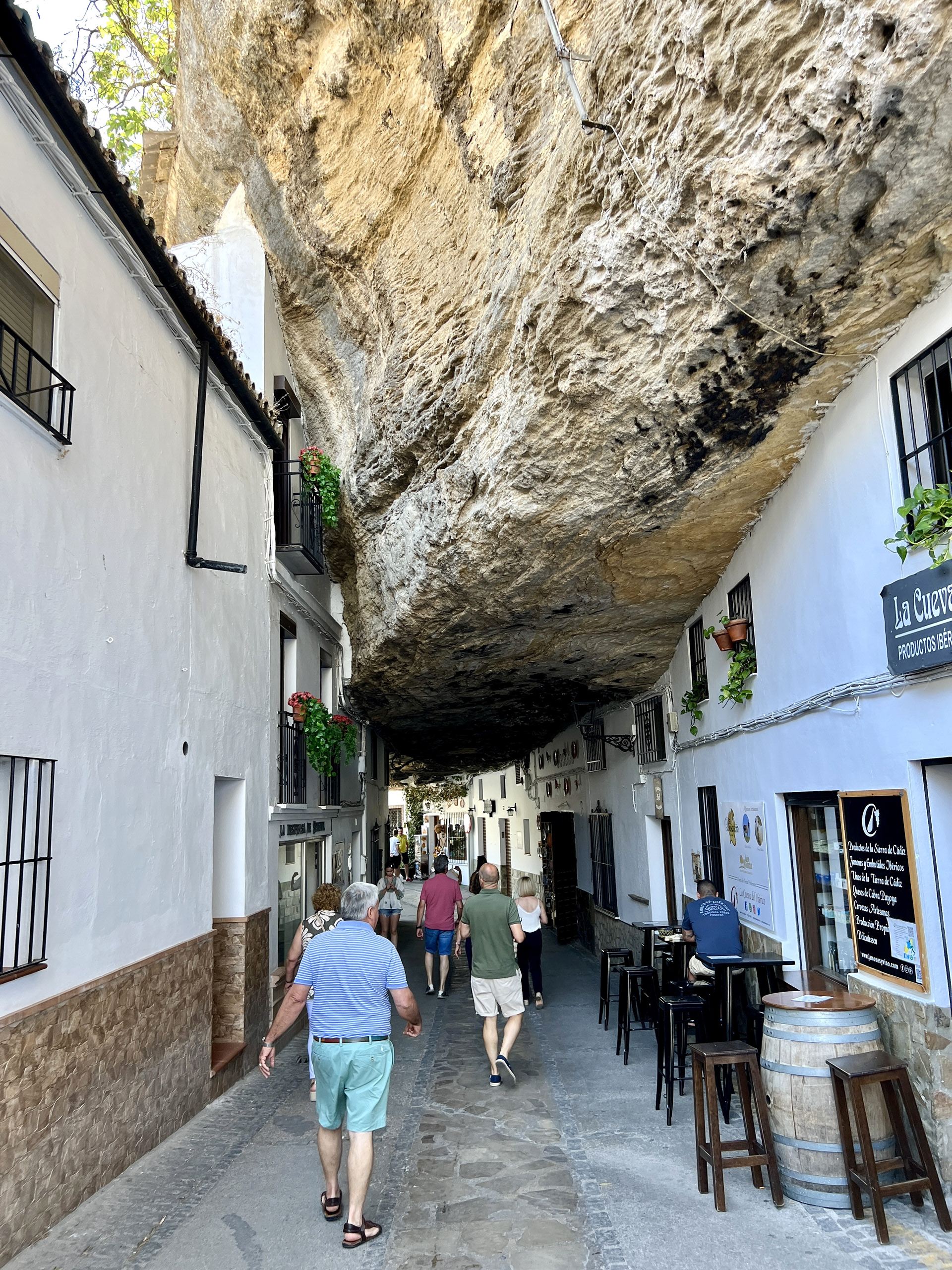 Setenil de las Bodegas