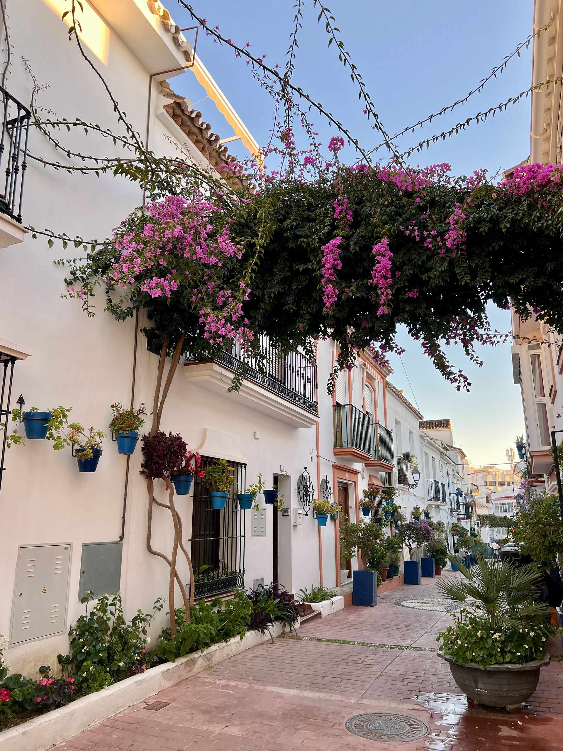 Estepona