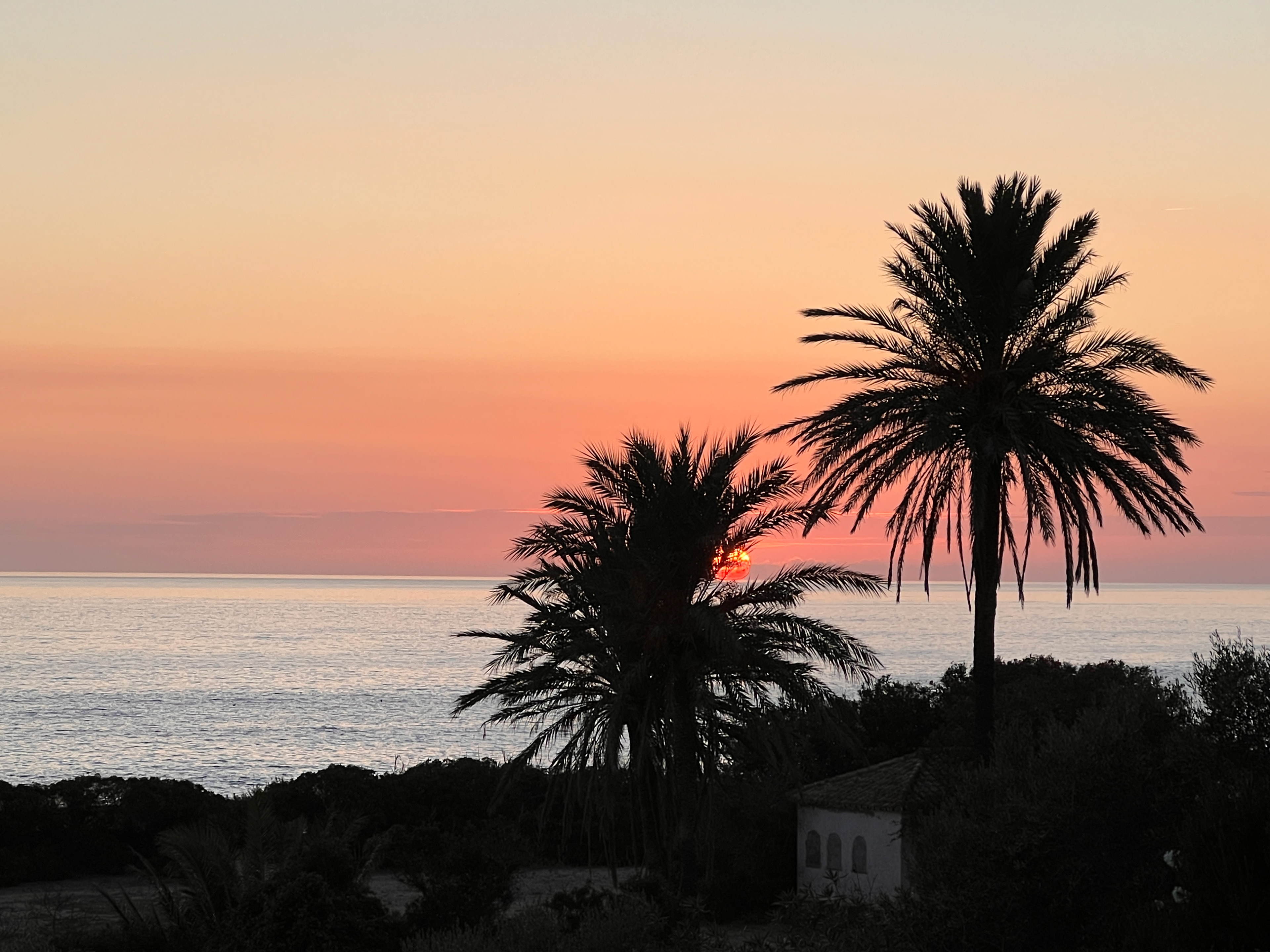 Playa Los Alemanes