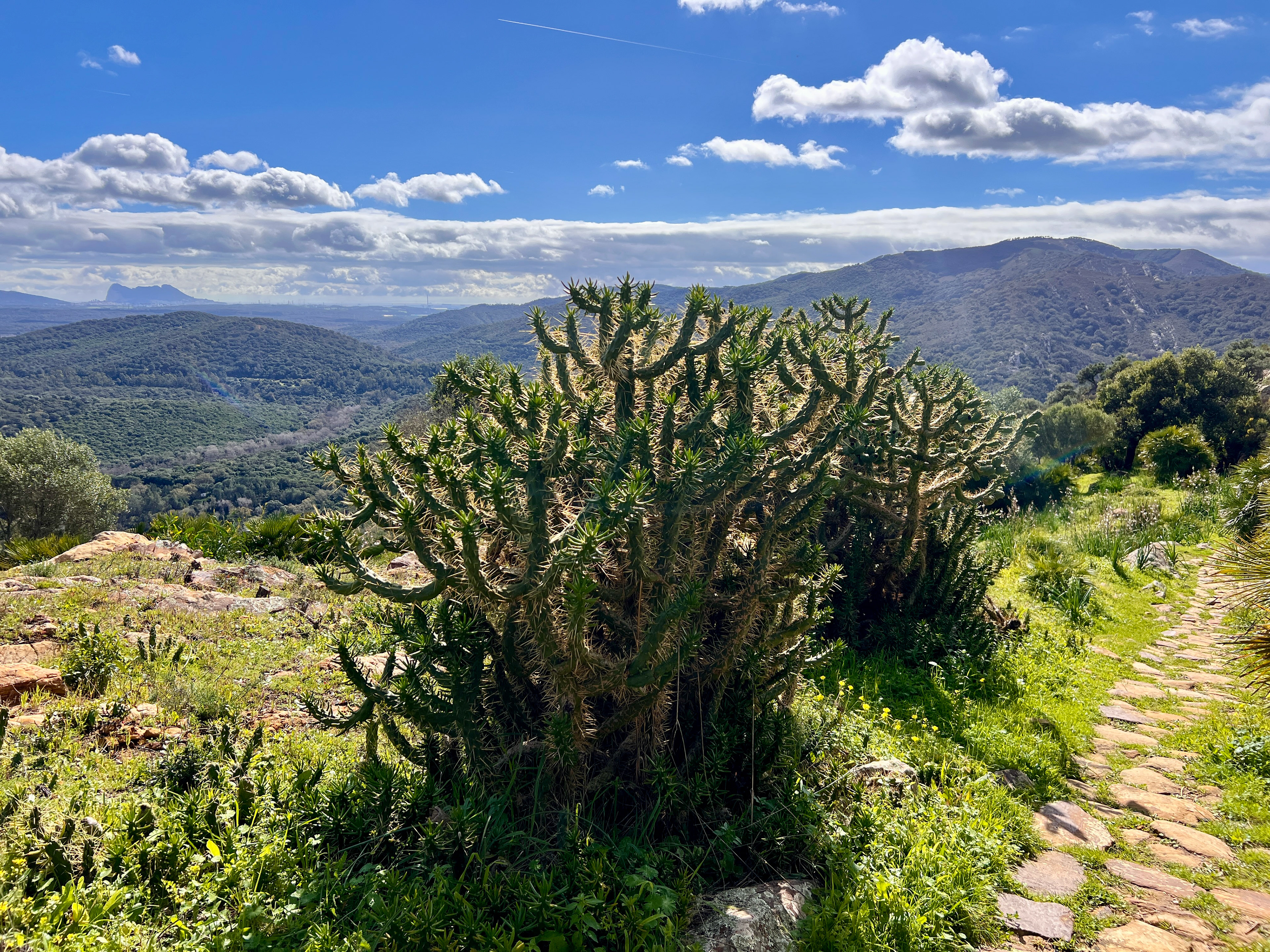 Castillo de Castellar