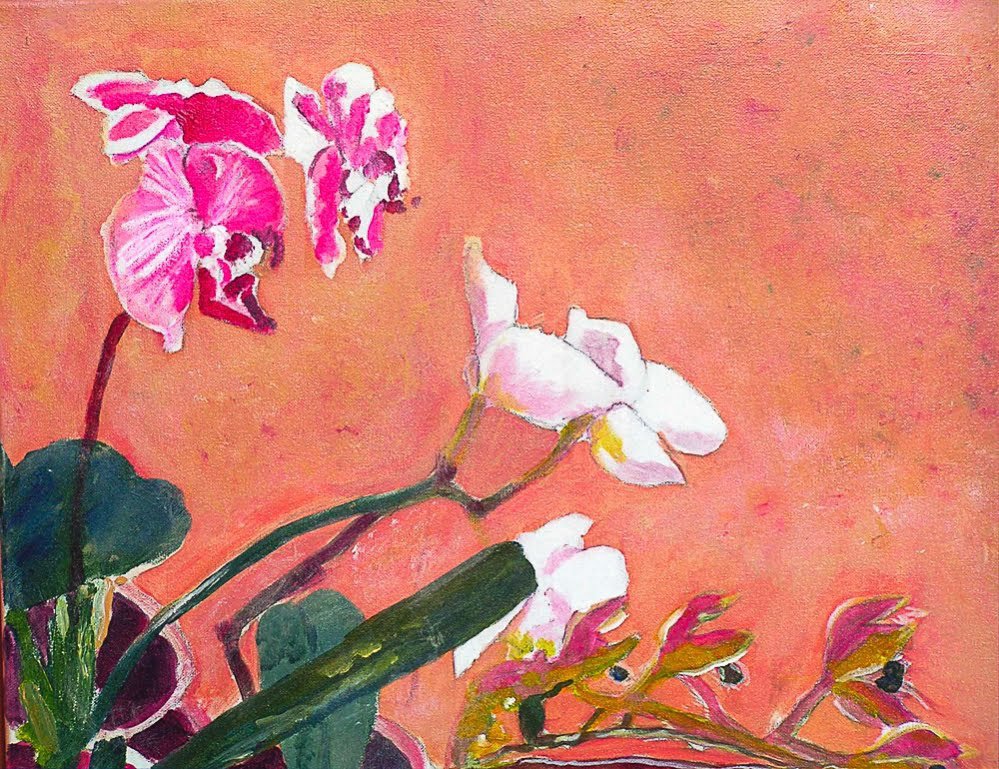 Orchids