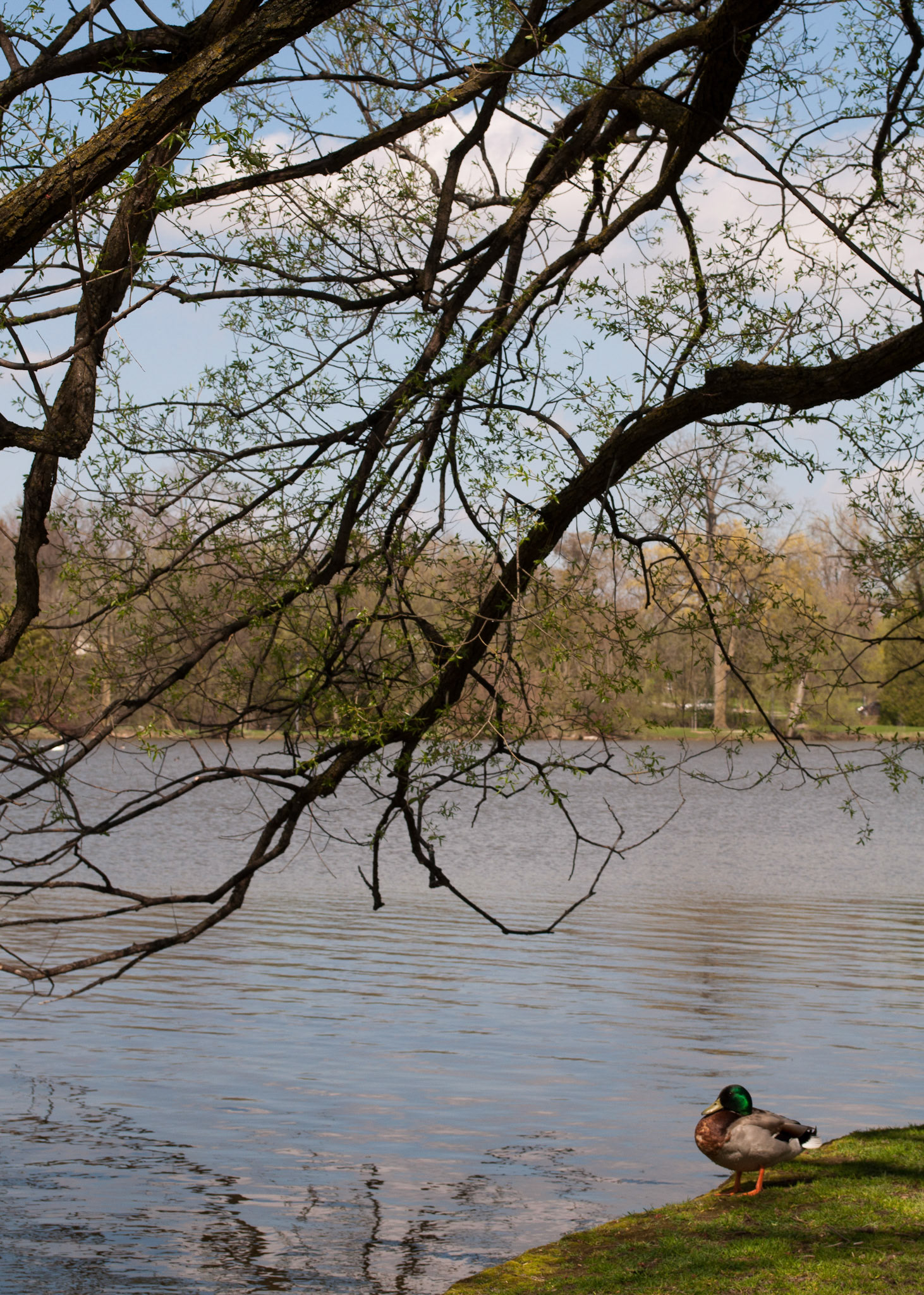 Wading Together 05