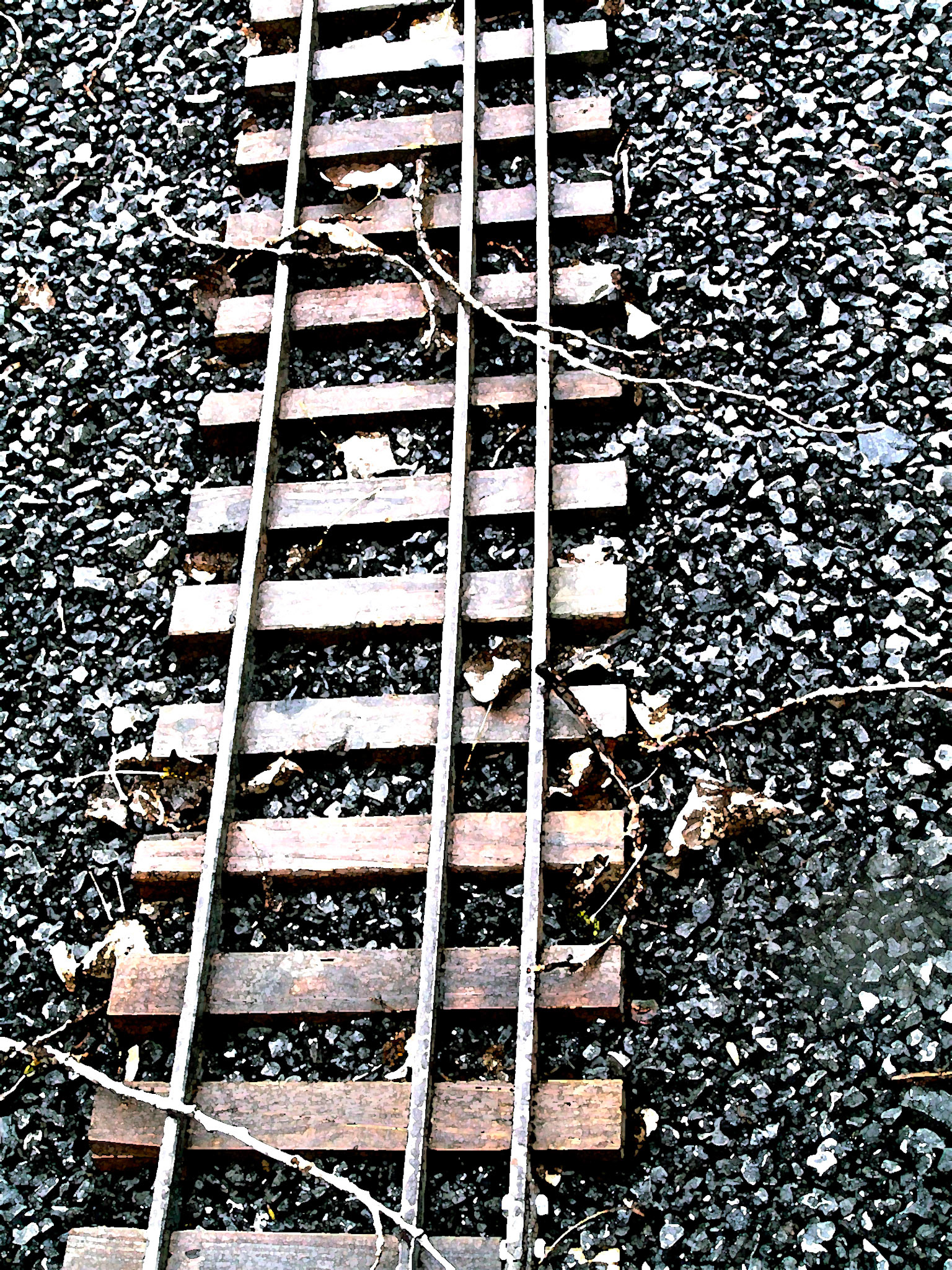 Abandoned Scheme