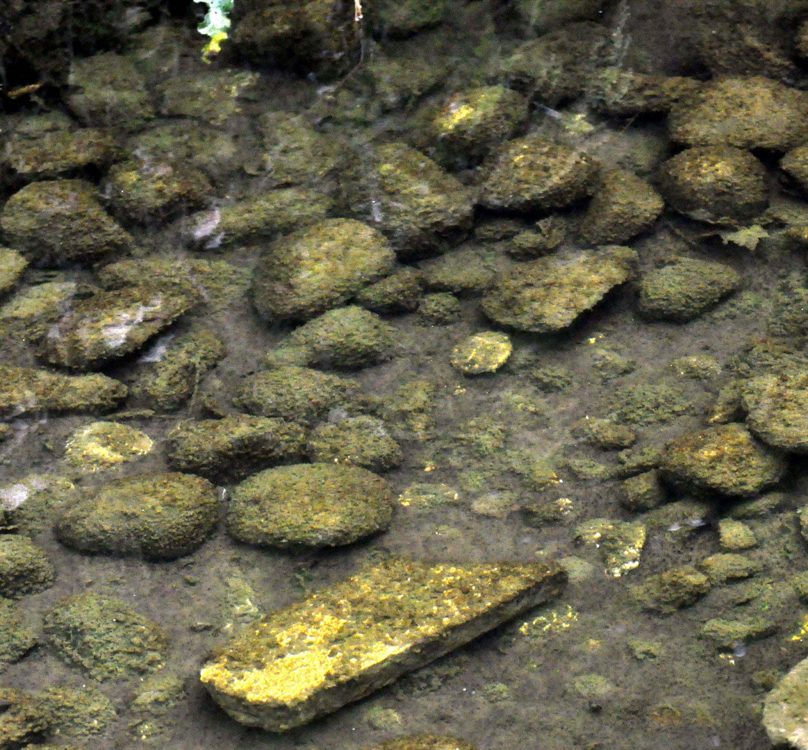 Slime Stones