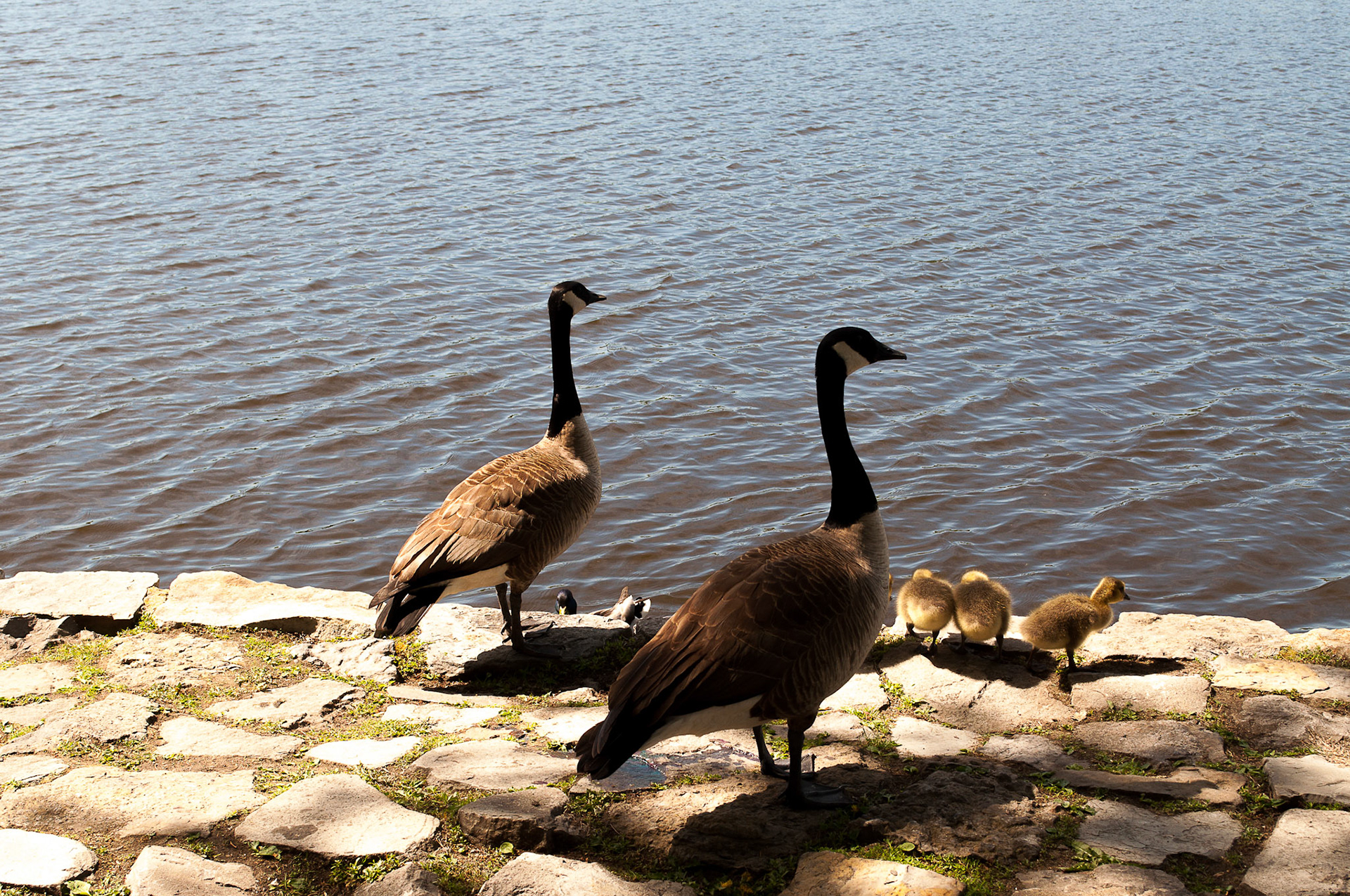 Family Outing