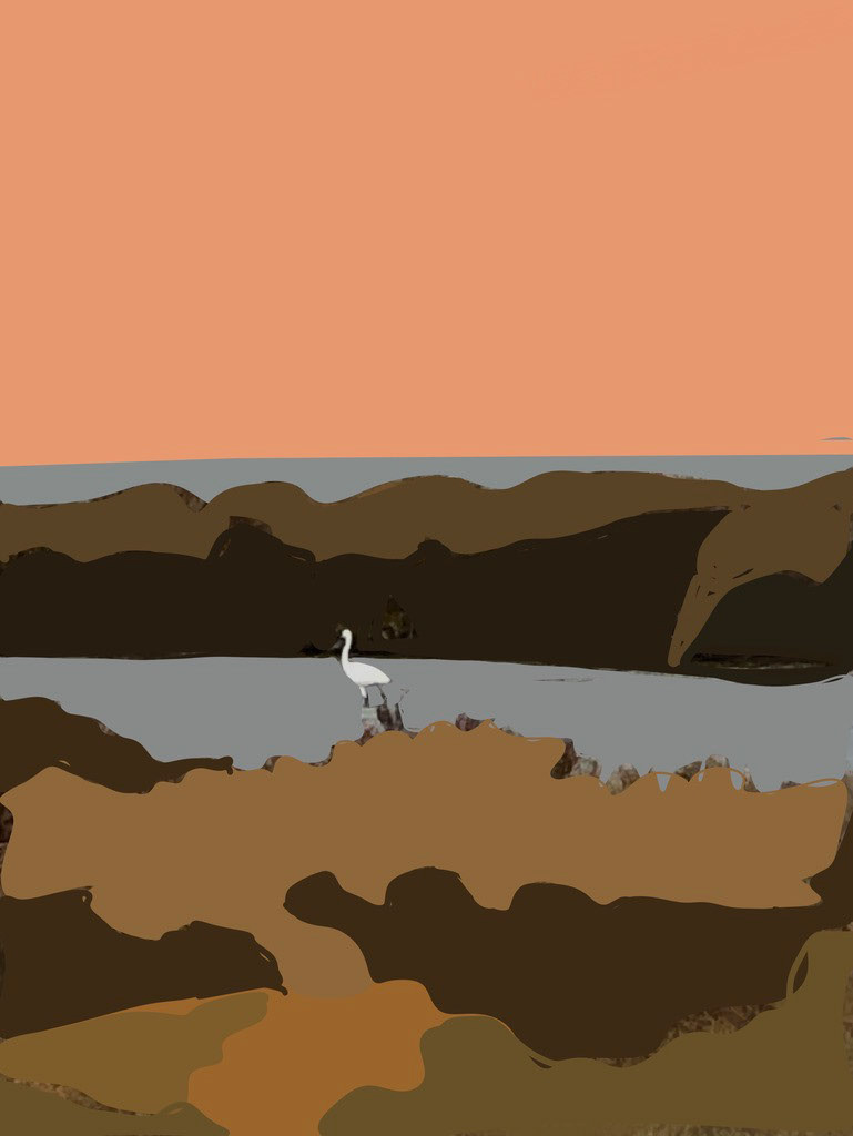 Wading In Brown