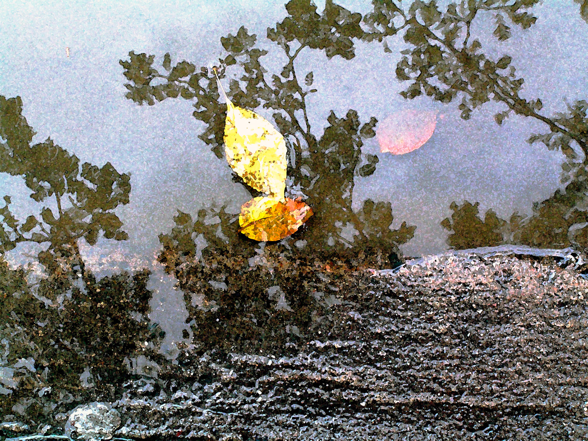 Street Puddle
