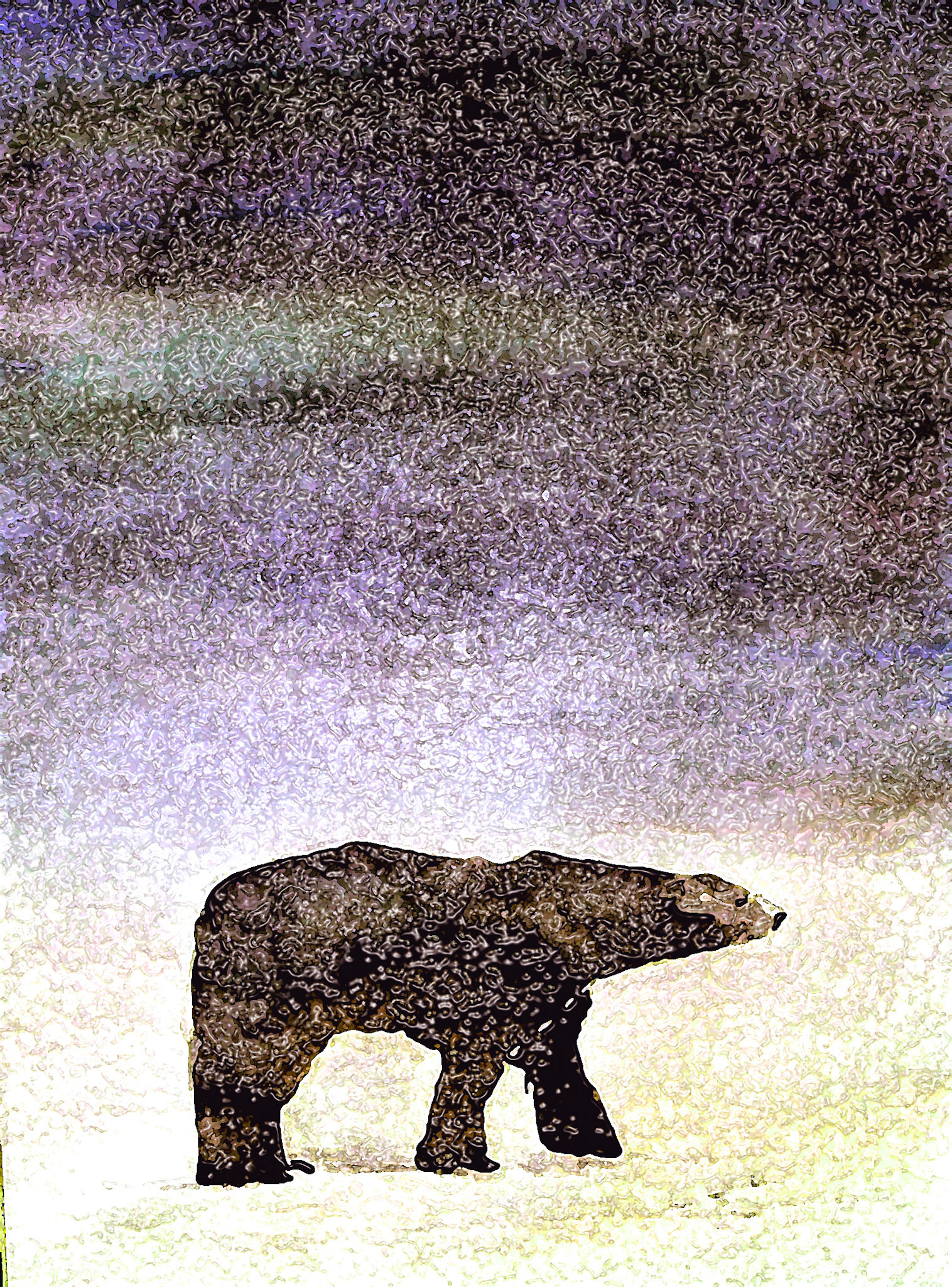 Bear on Trail