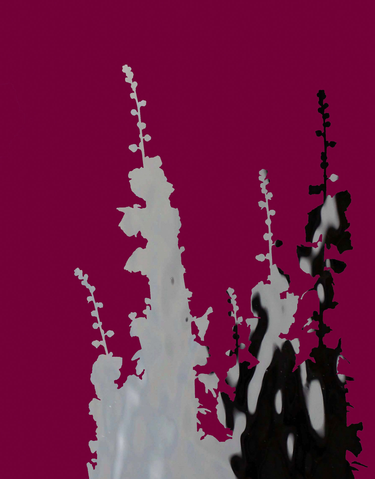 Reaching For The Sky 03