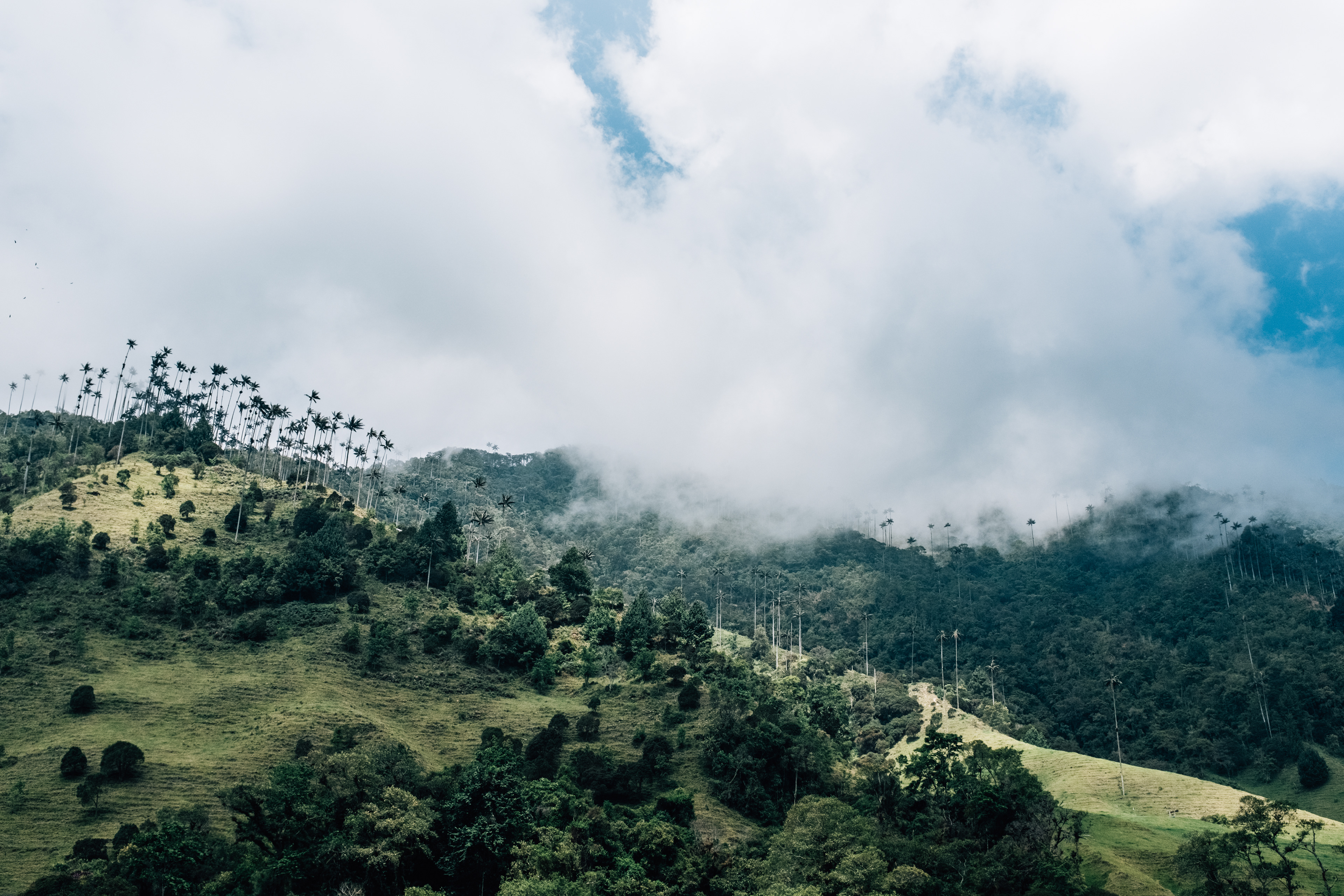 Salento, Colombia
