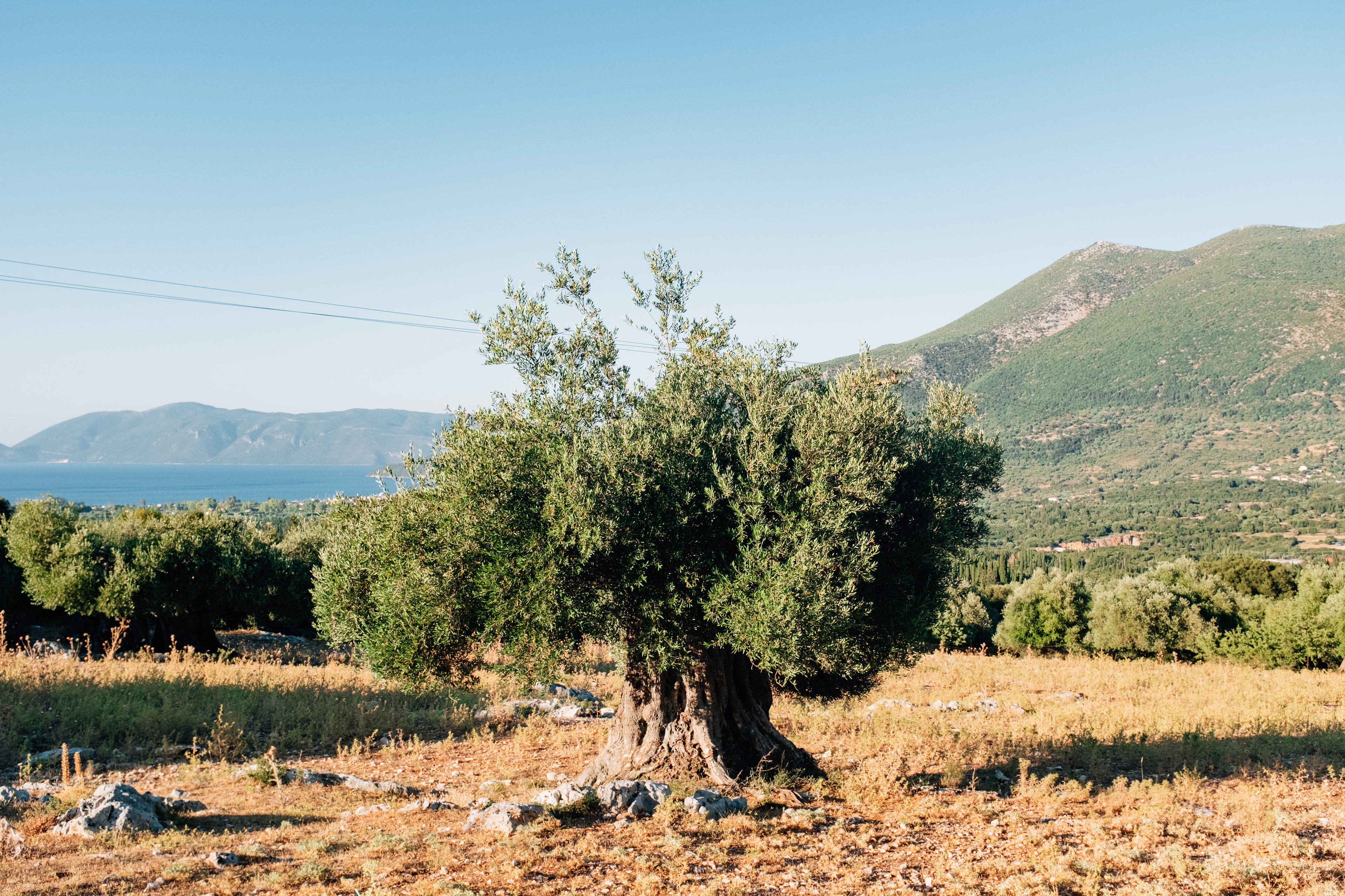 Greece