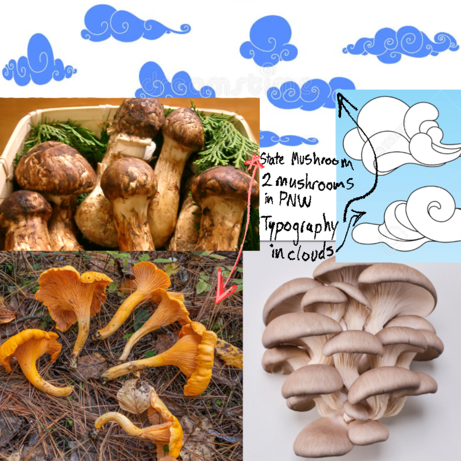 Mood board and Brainstorming