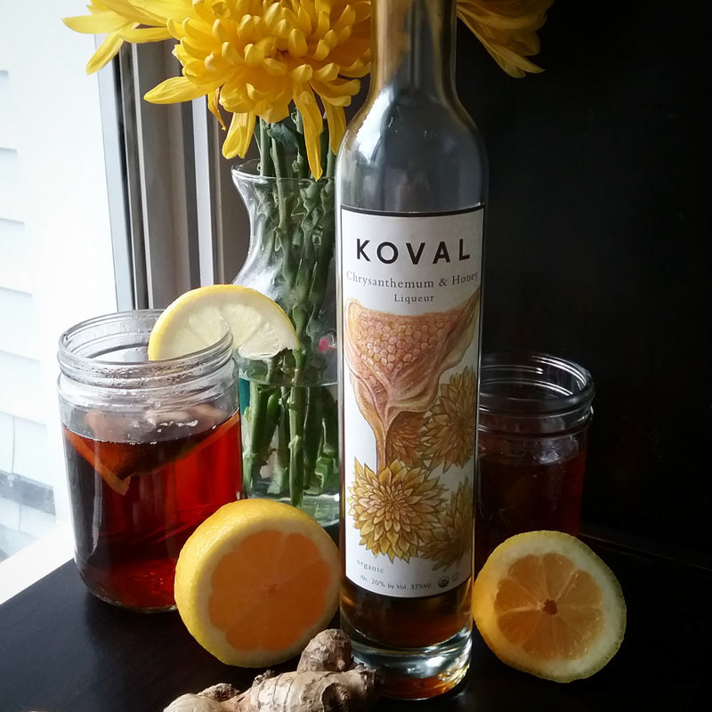 Koval Chicago Instagram Mockup