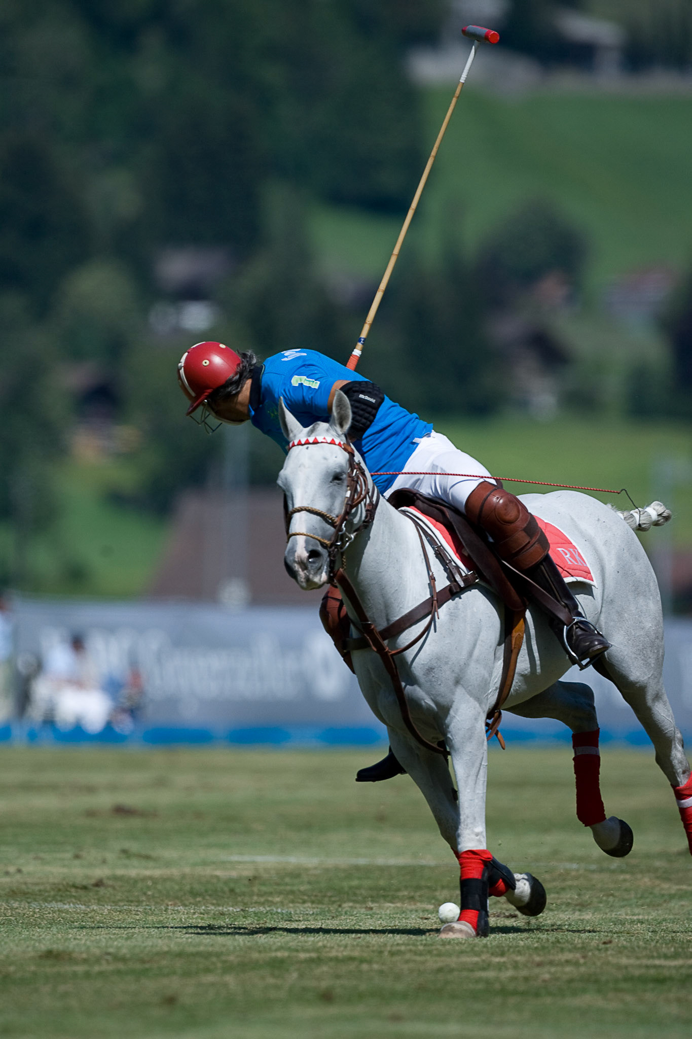 Polo Gold Cup