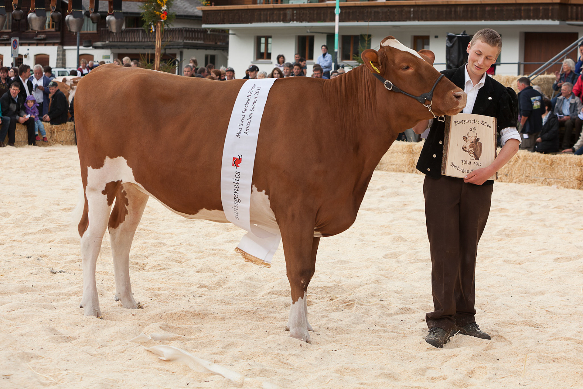Amtschau Saanen 2015