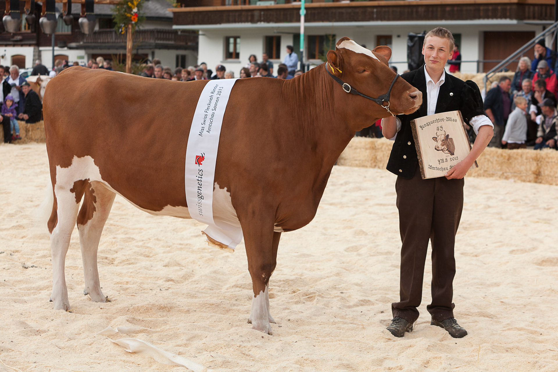 Amtschau Saanen 2015