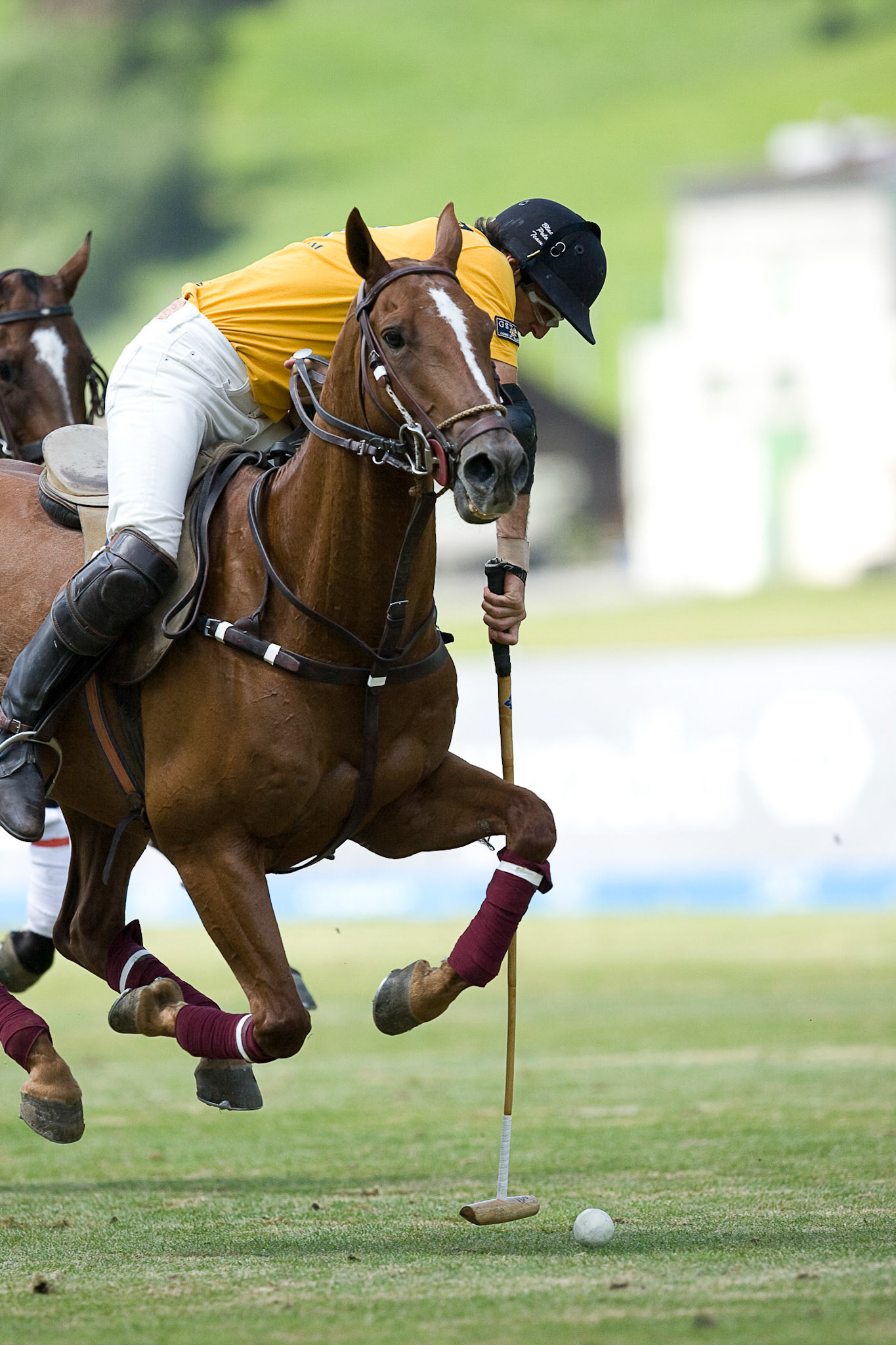 Gold Cup Trophy 2006