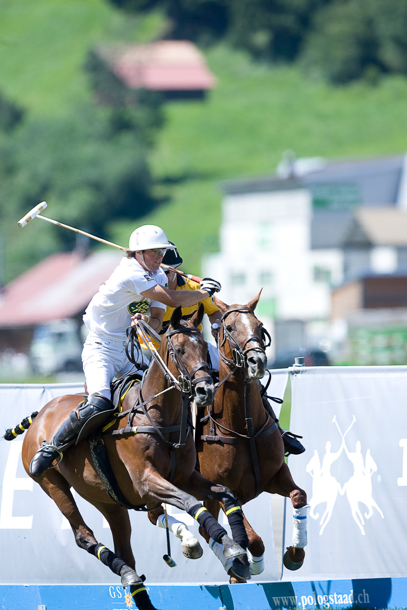 Polo Gold Cup