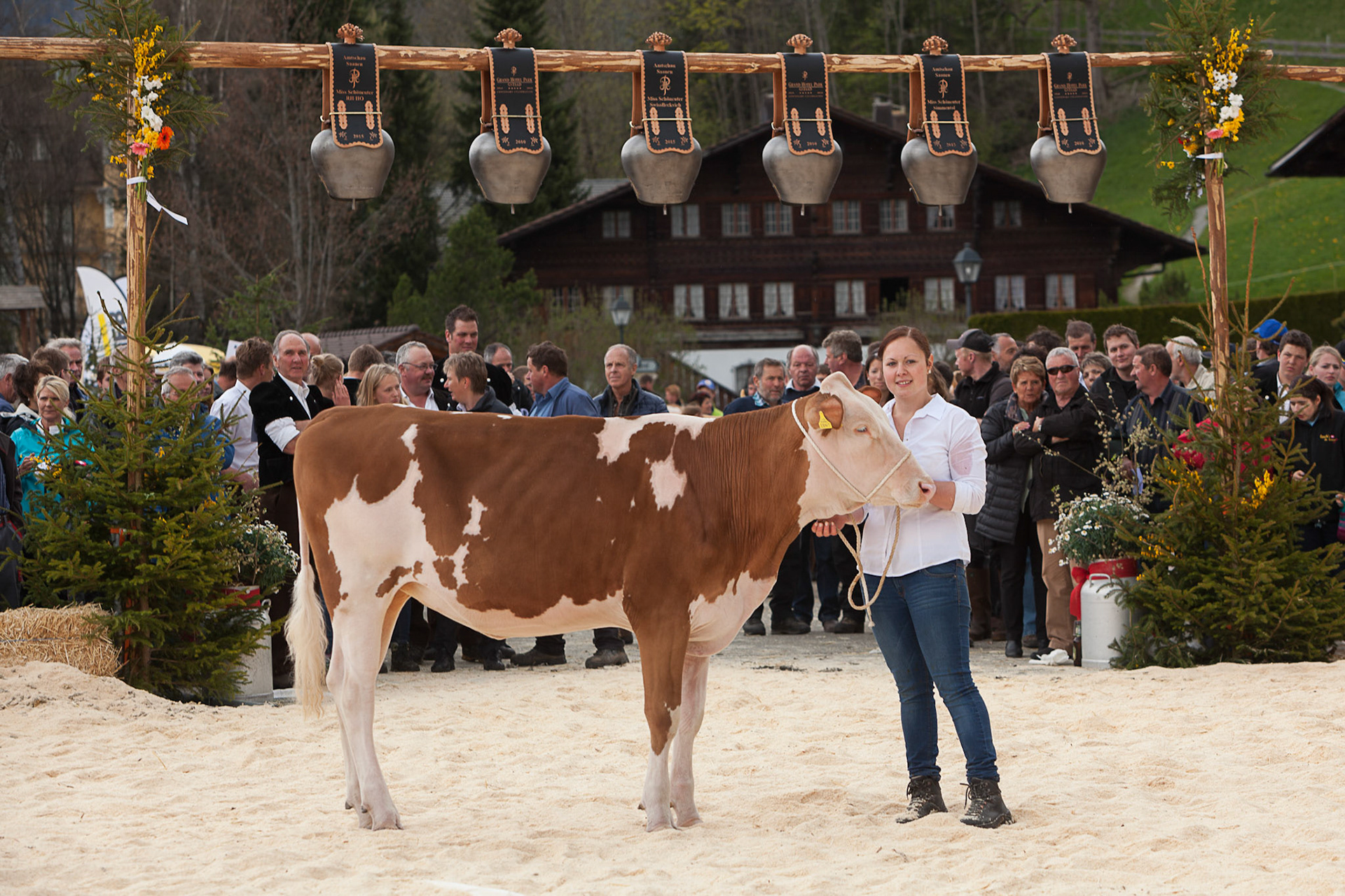 Amtschau Saanen 2015