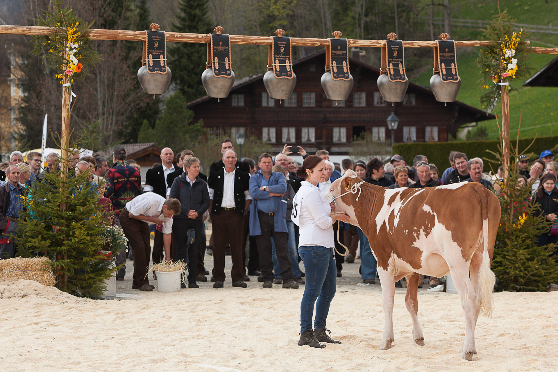 Amtschau Saanen 2015