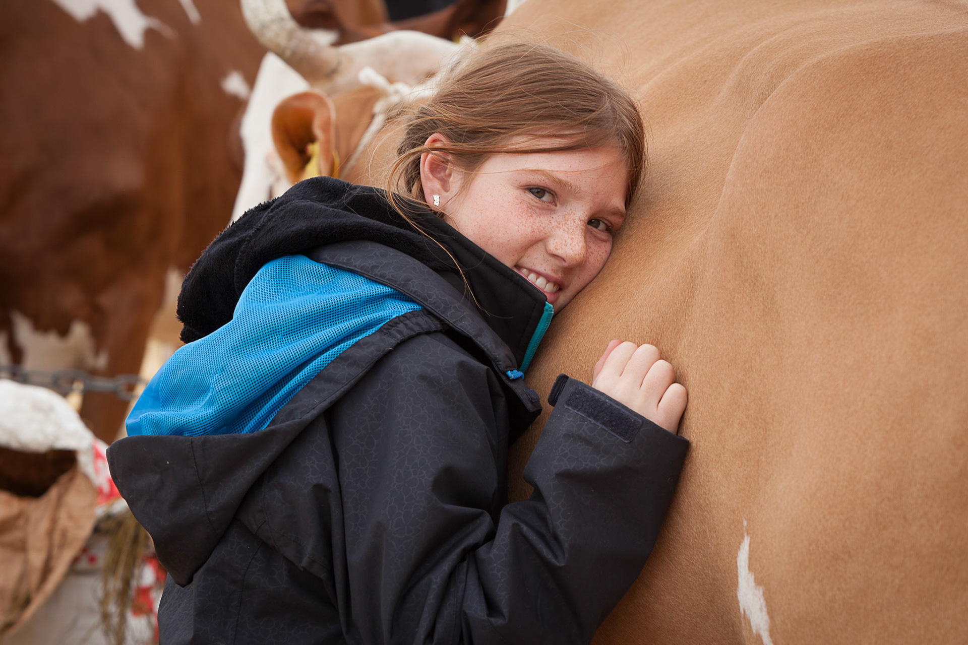 Amtschau Saanen 2015