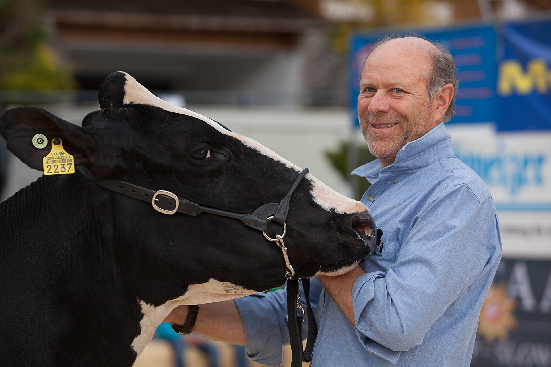 Amtschau Saanen 2015