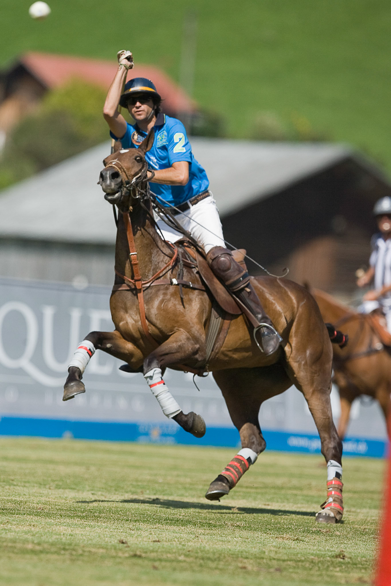 Polo Gold Cup