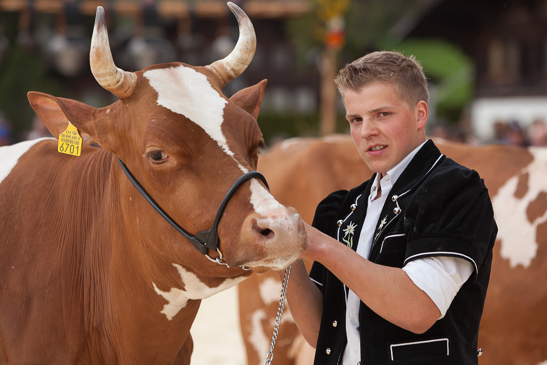 Amtschau Saanen 2015