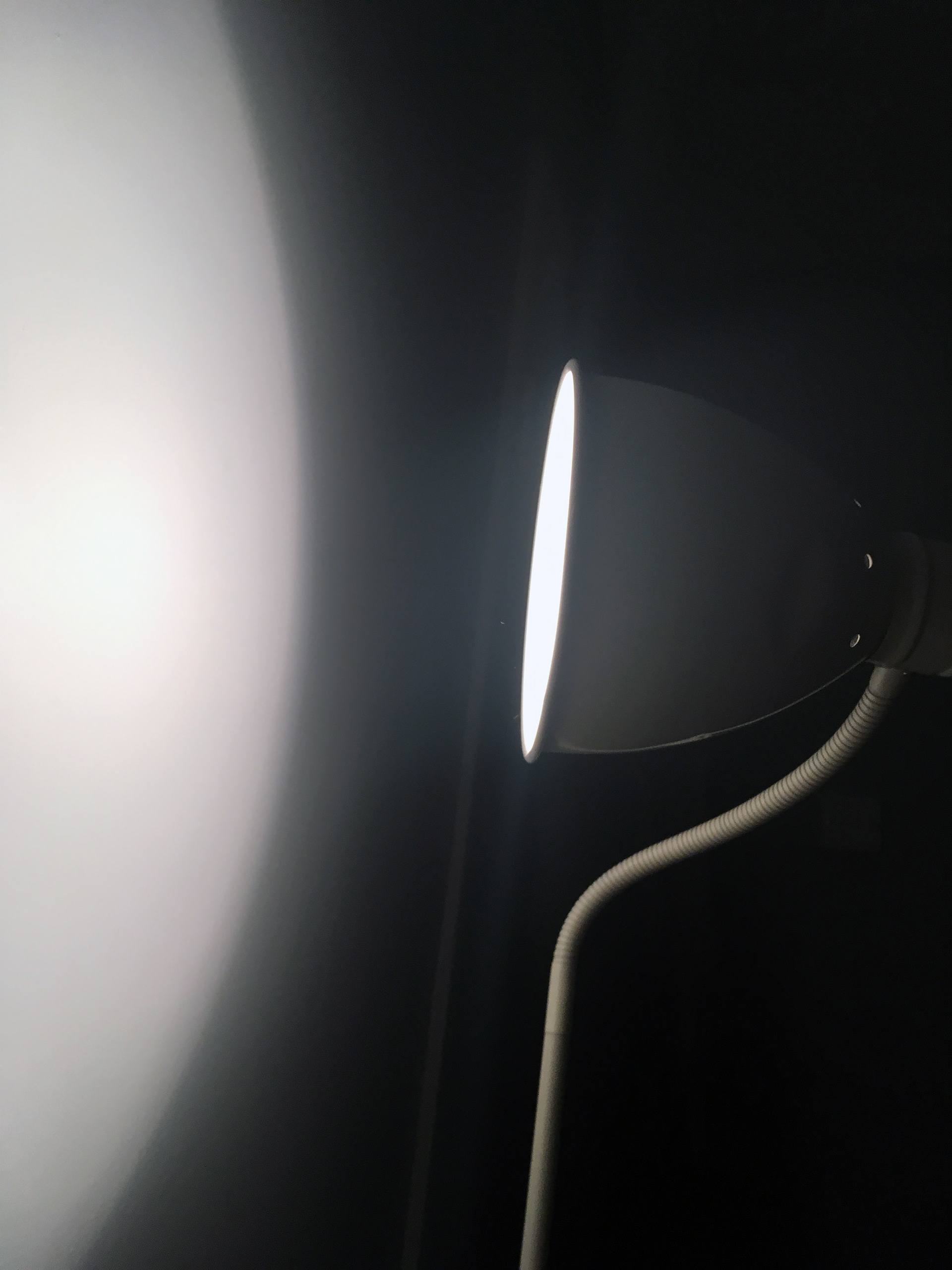 We are all the sun deep dive reading